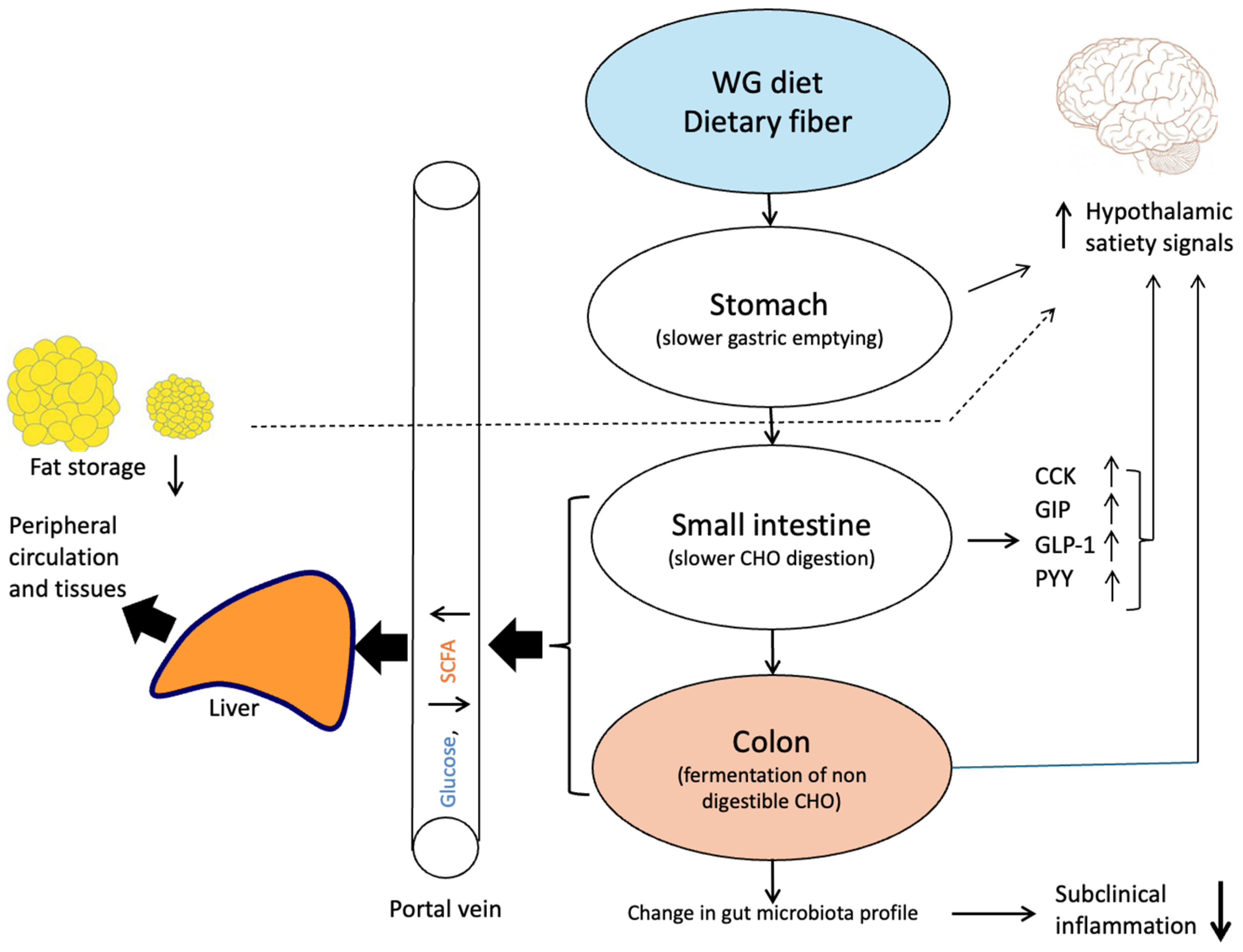 Nutrients 17 01561 g002