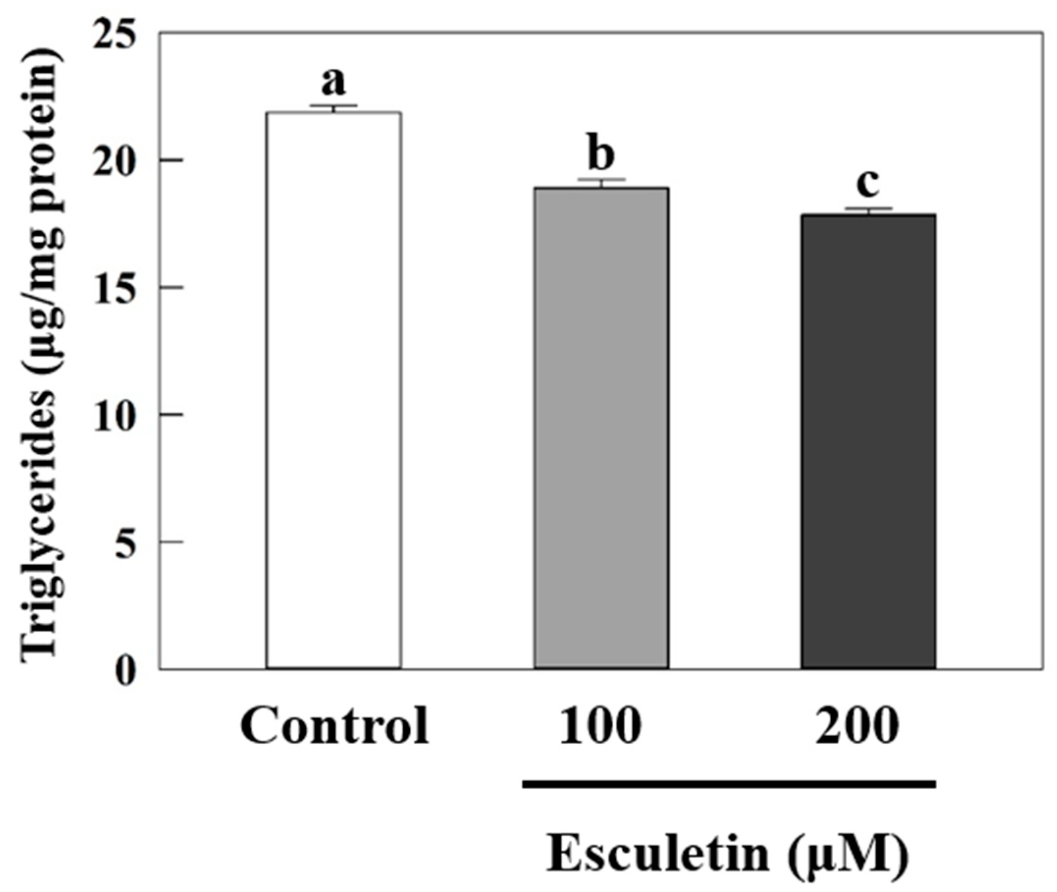 Nutrients 17 01565 g001