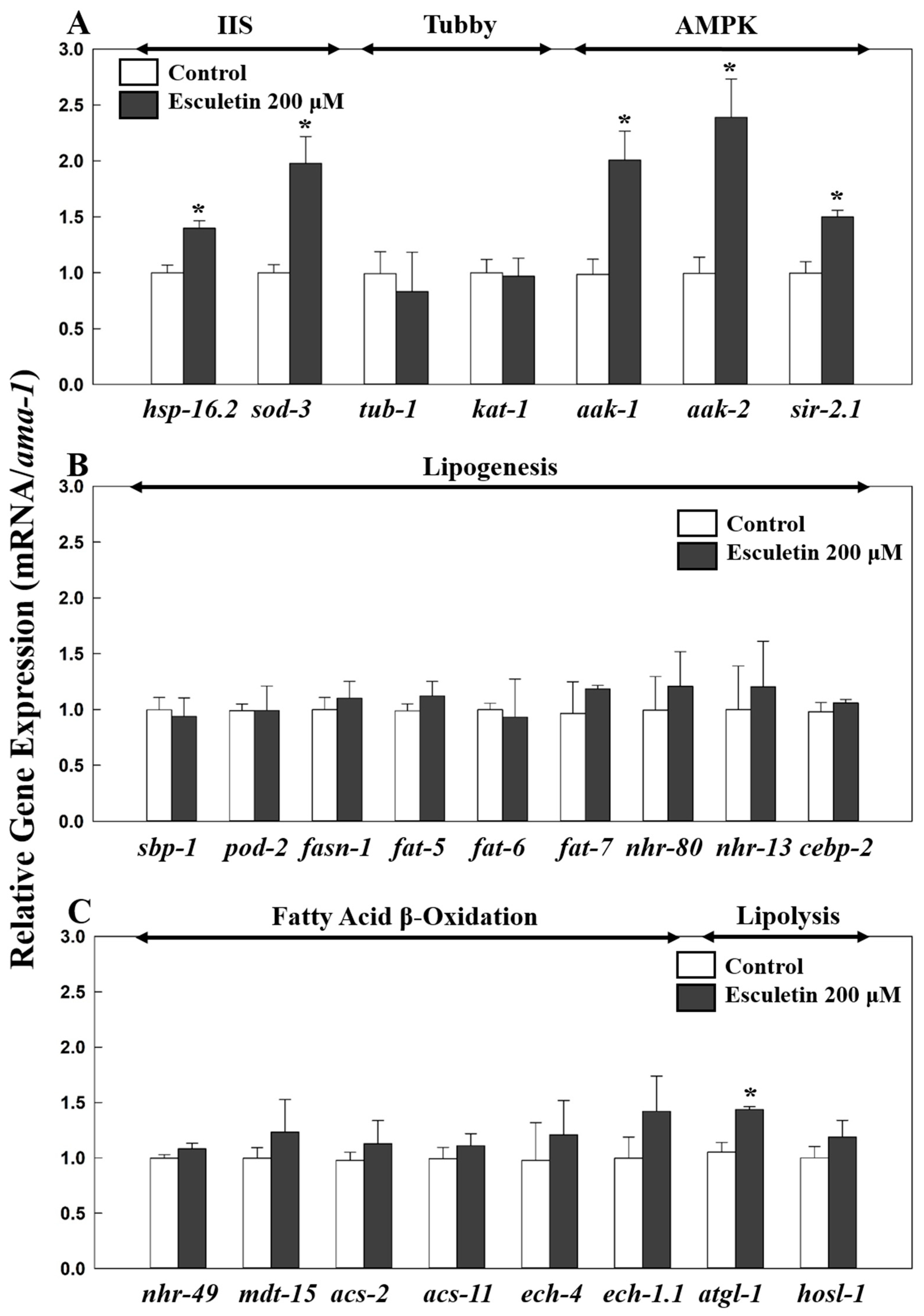Nutrients 17 01565 g004