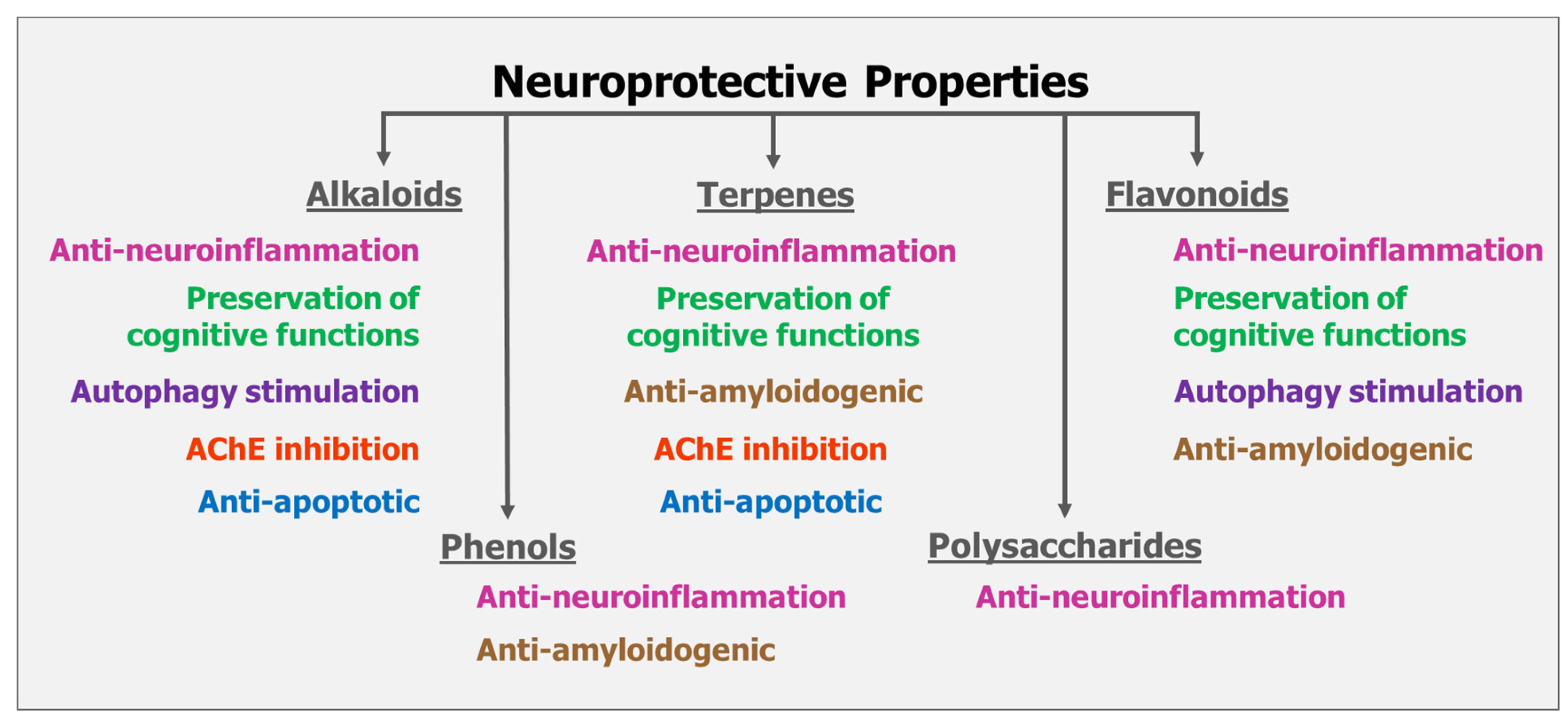 Nutrients 17 01568 g001