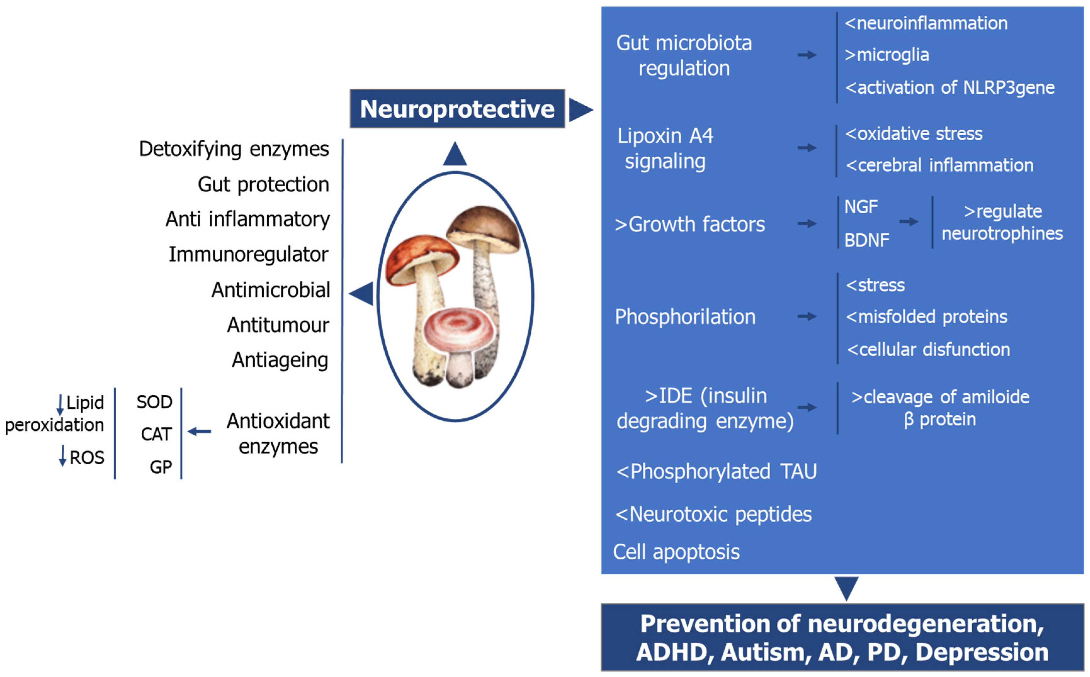 Nutrients 17 01568 g003