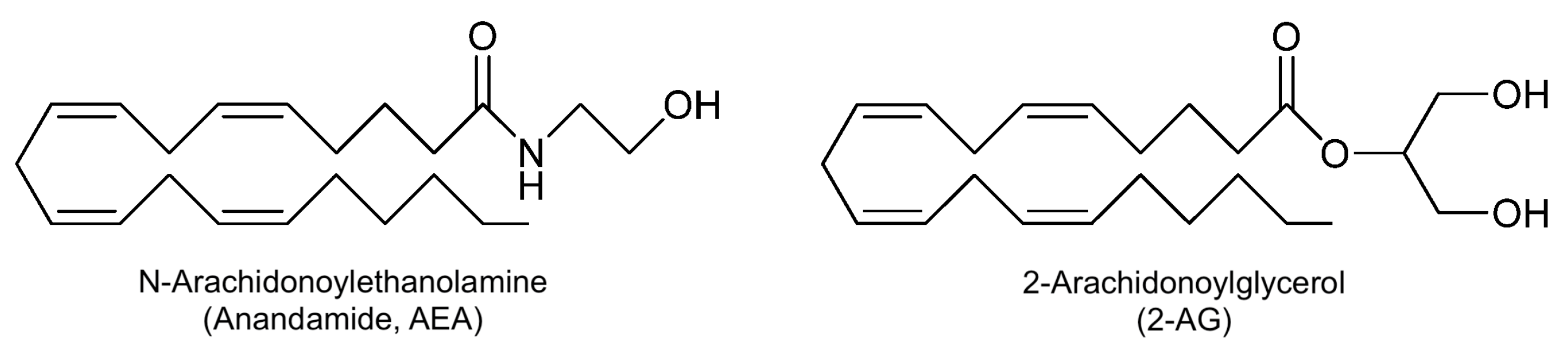 Nutrients 17 01578 g002