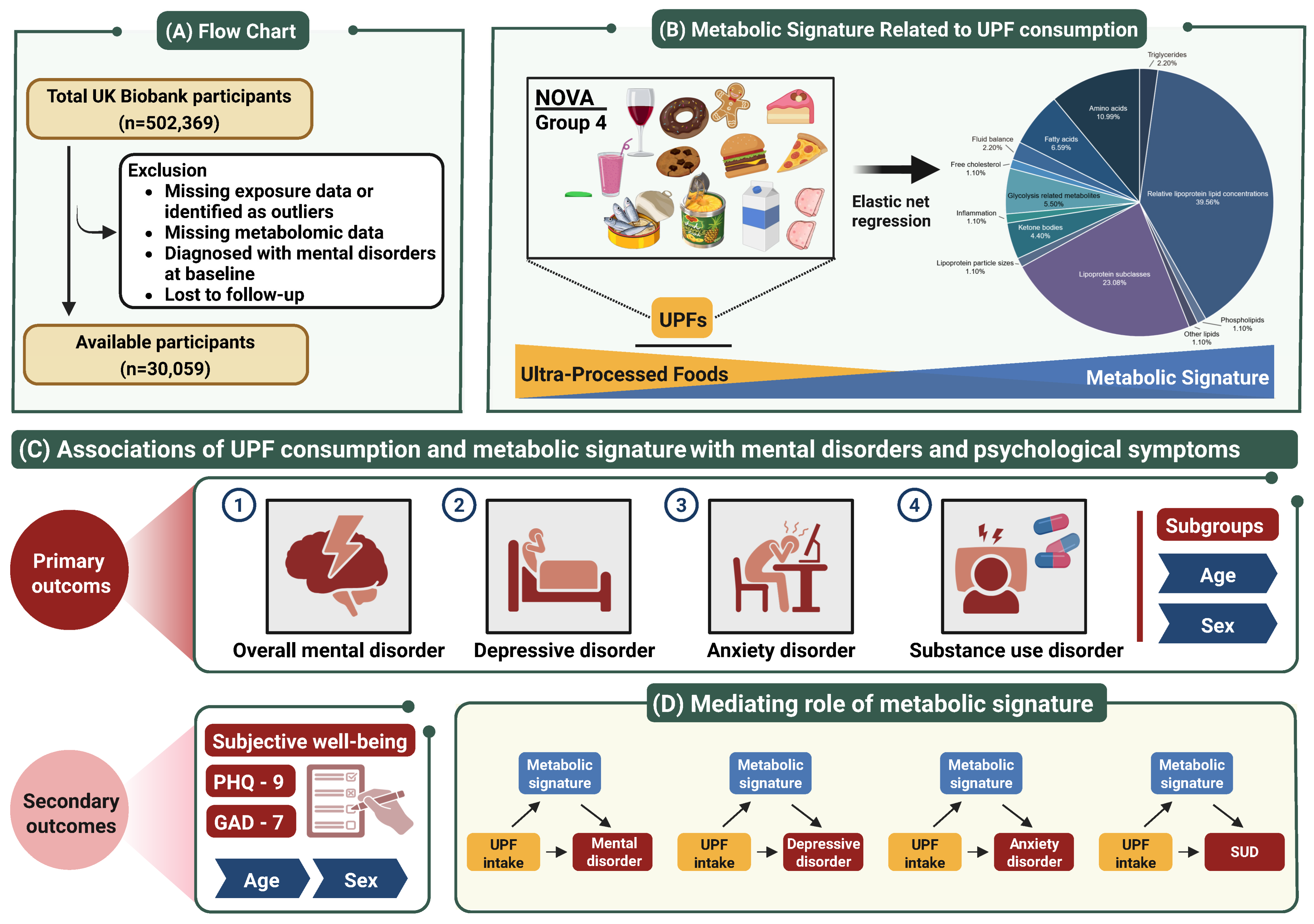 Nutrients 17 01582 g001