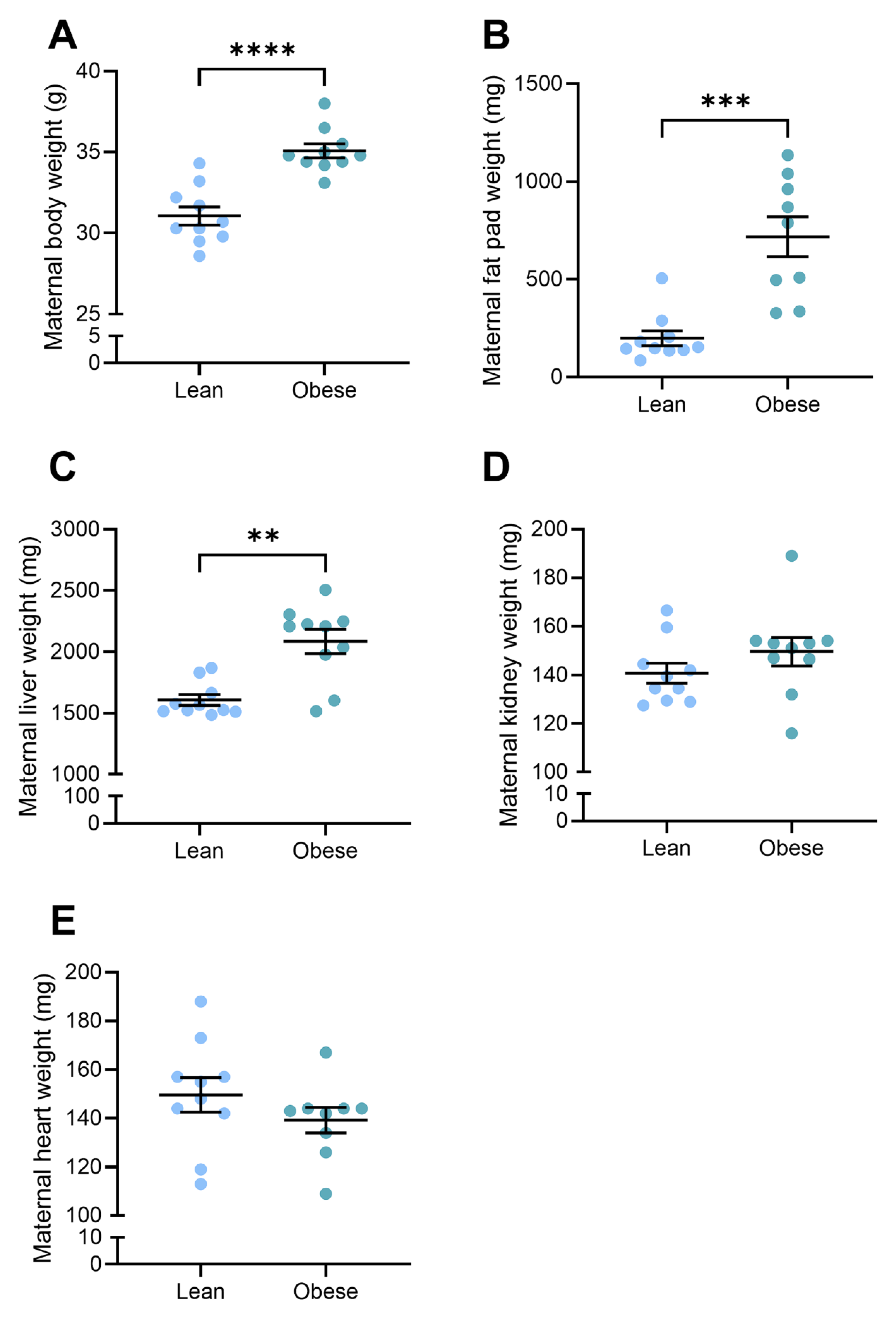 Nutrients 17 01586 g001