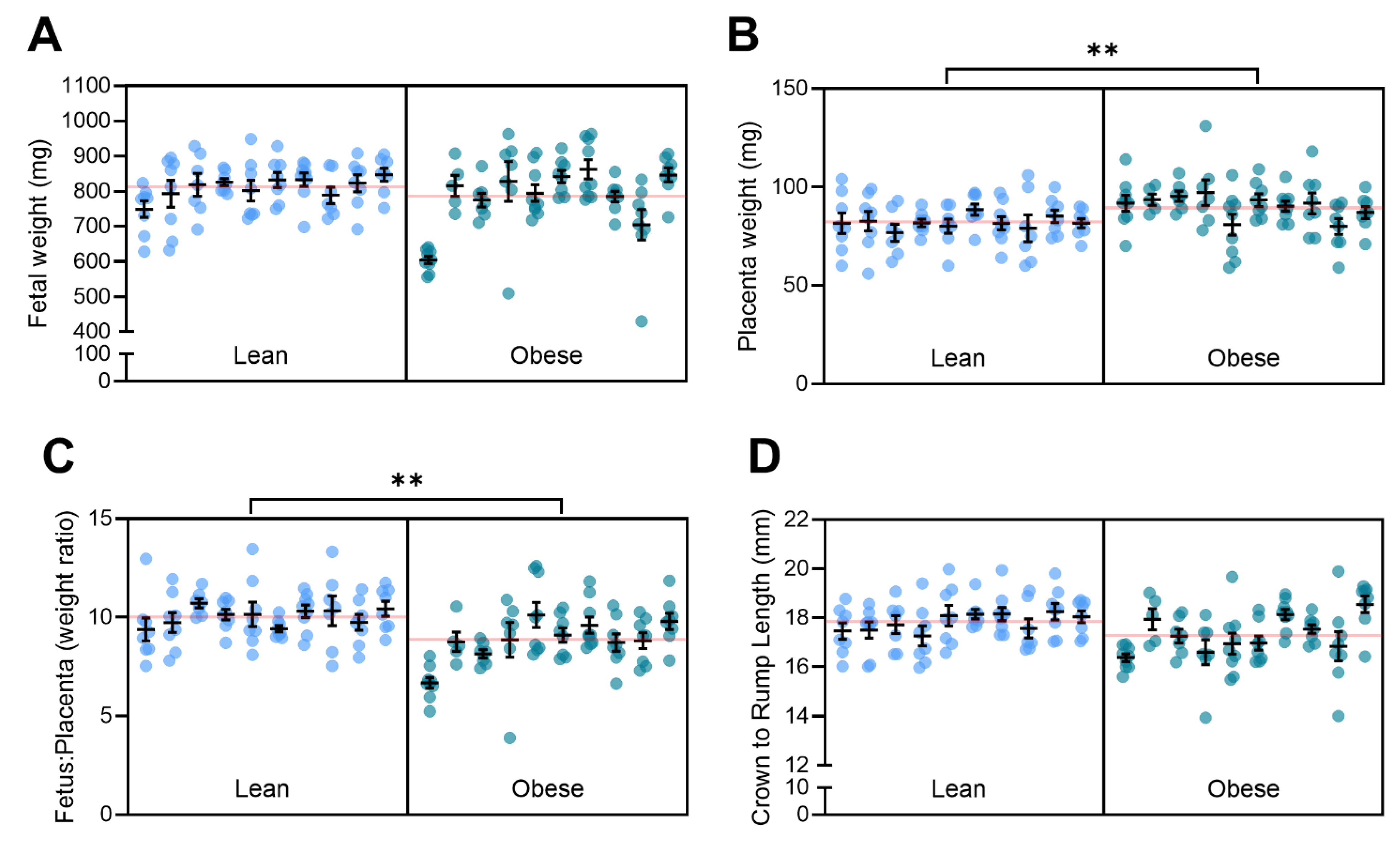 Nutrients 17 01586 g005