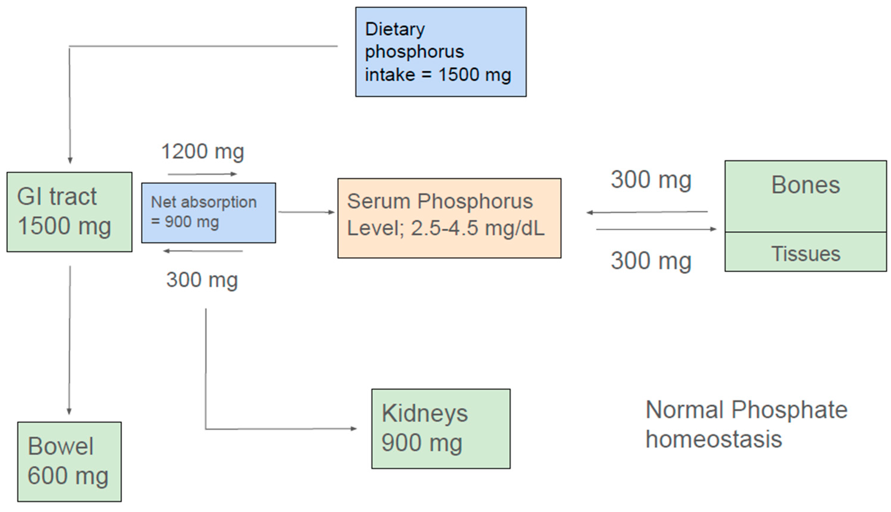 Nutrients 17 01587 g001 Nutrients 17 01587 g001