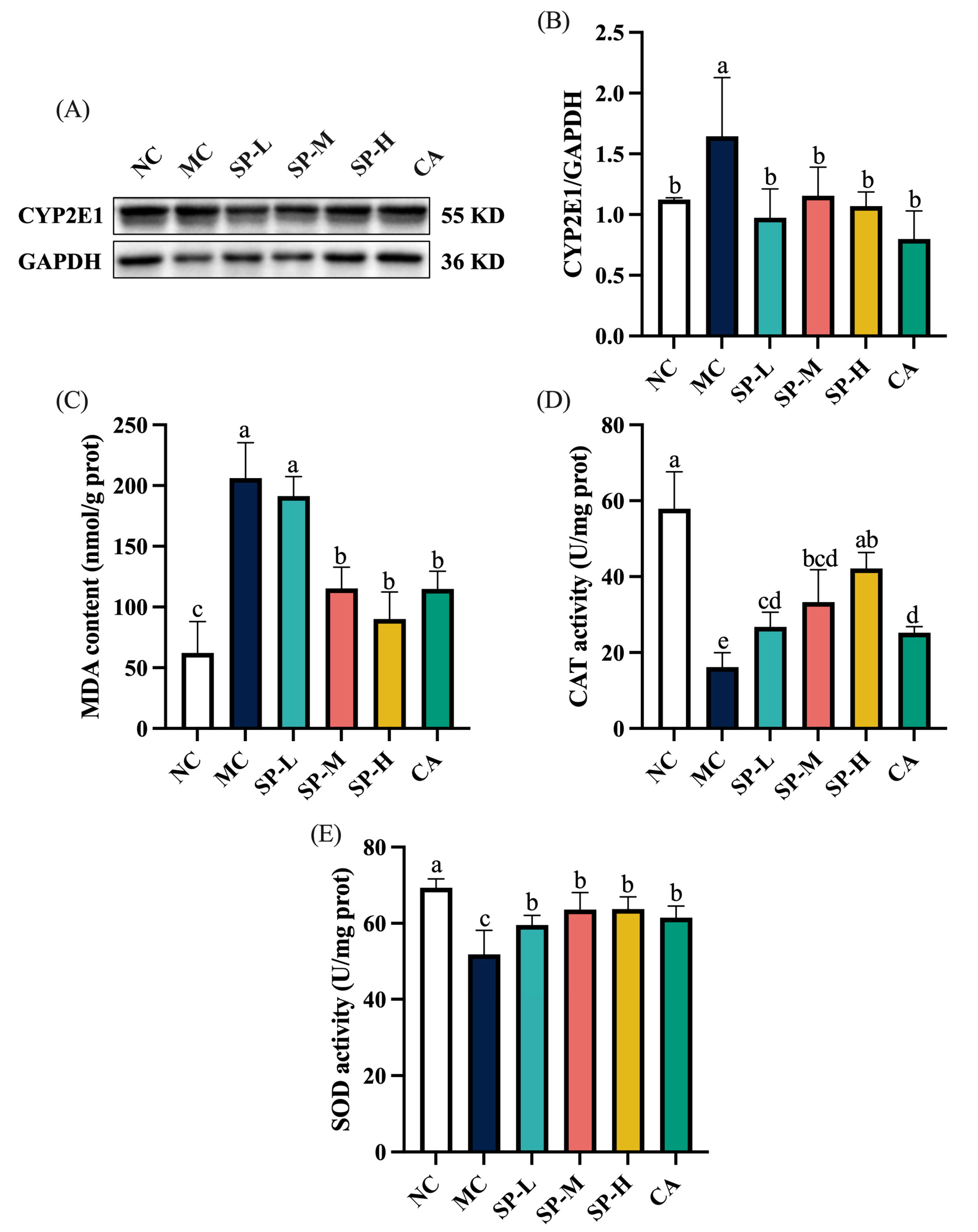 Nutrients 17 01589 g004