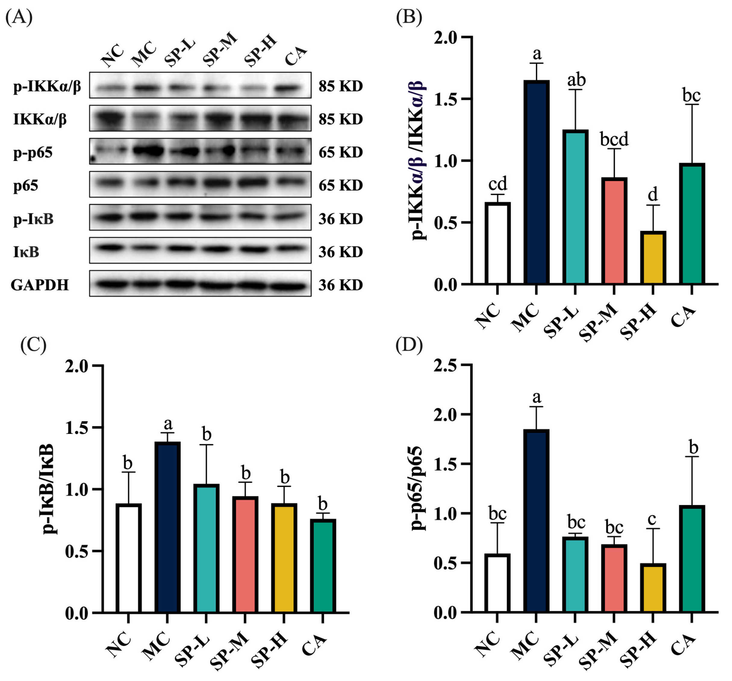 Nutrients 17 01589 g007