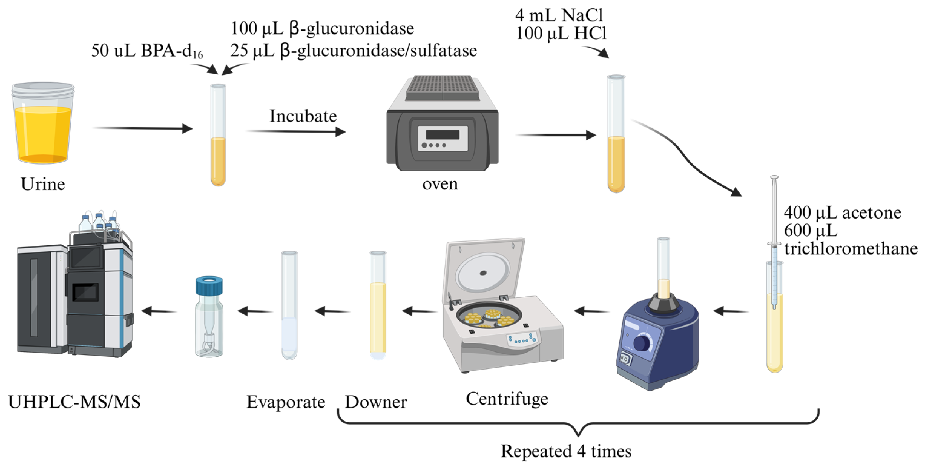 Nutrients 17 01593 g002