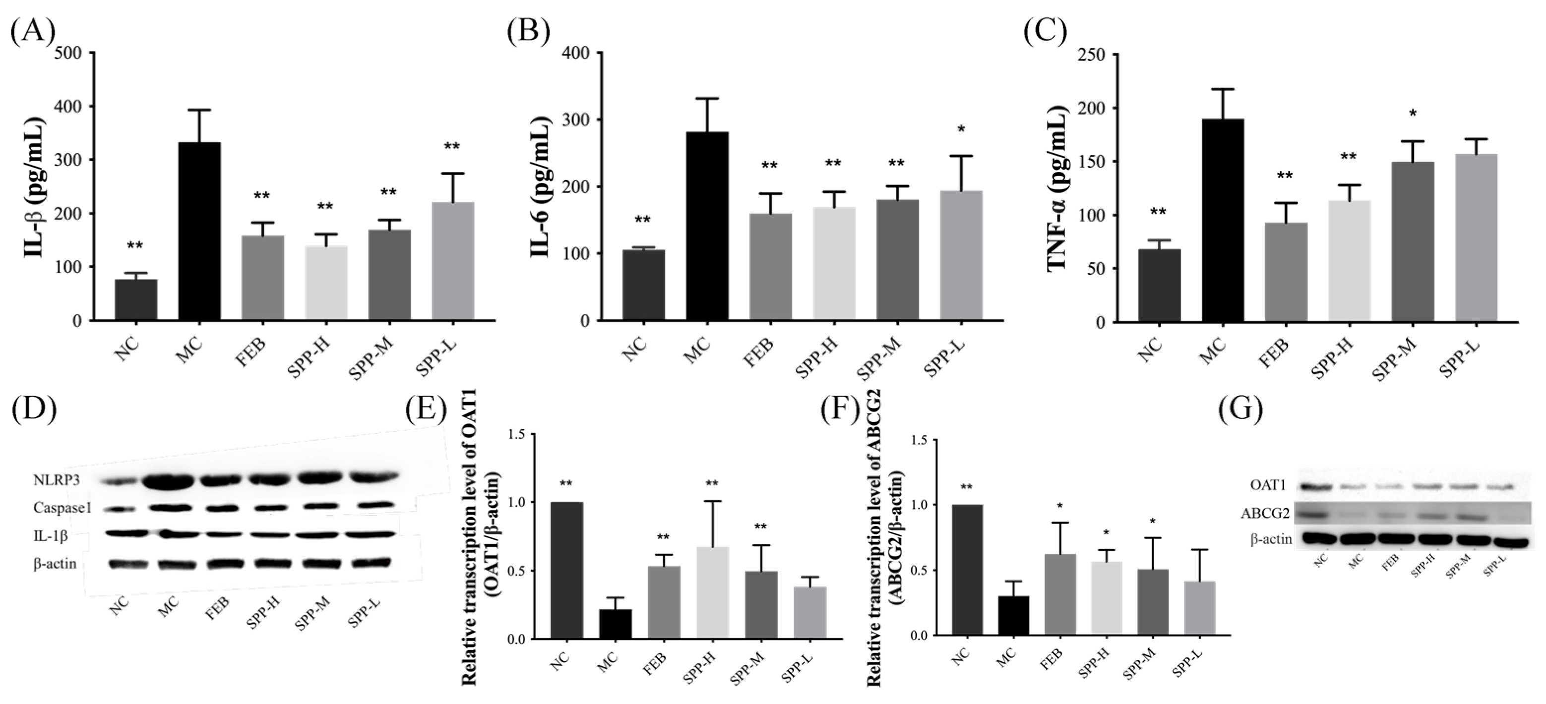 Nutrients 17 01596 g004