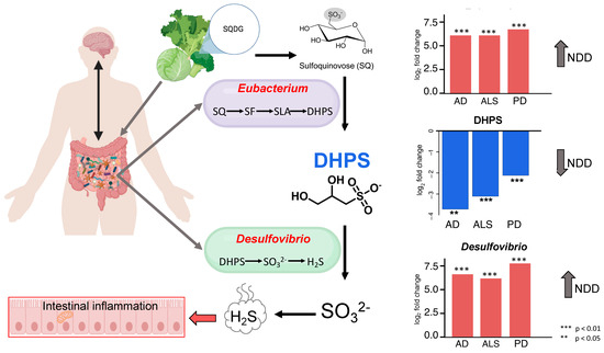 cagrilintide mechanism Development of Cagrilintide, a Long-Acting Amylin Analogue