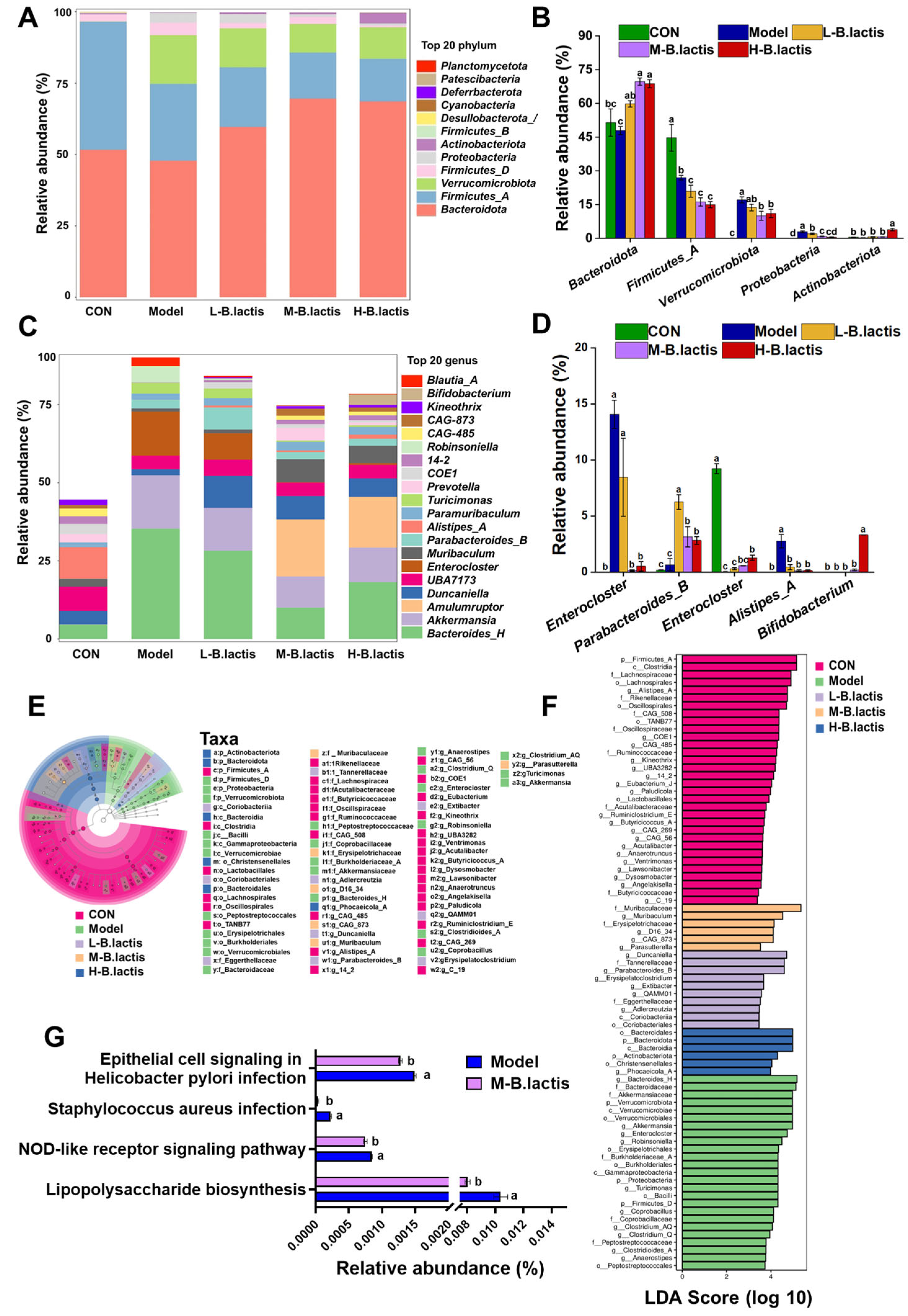 Nutrients 17 01610 g006