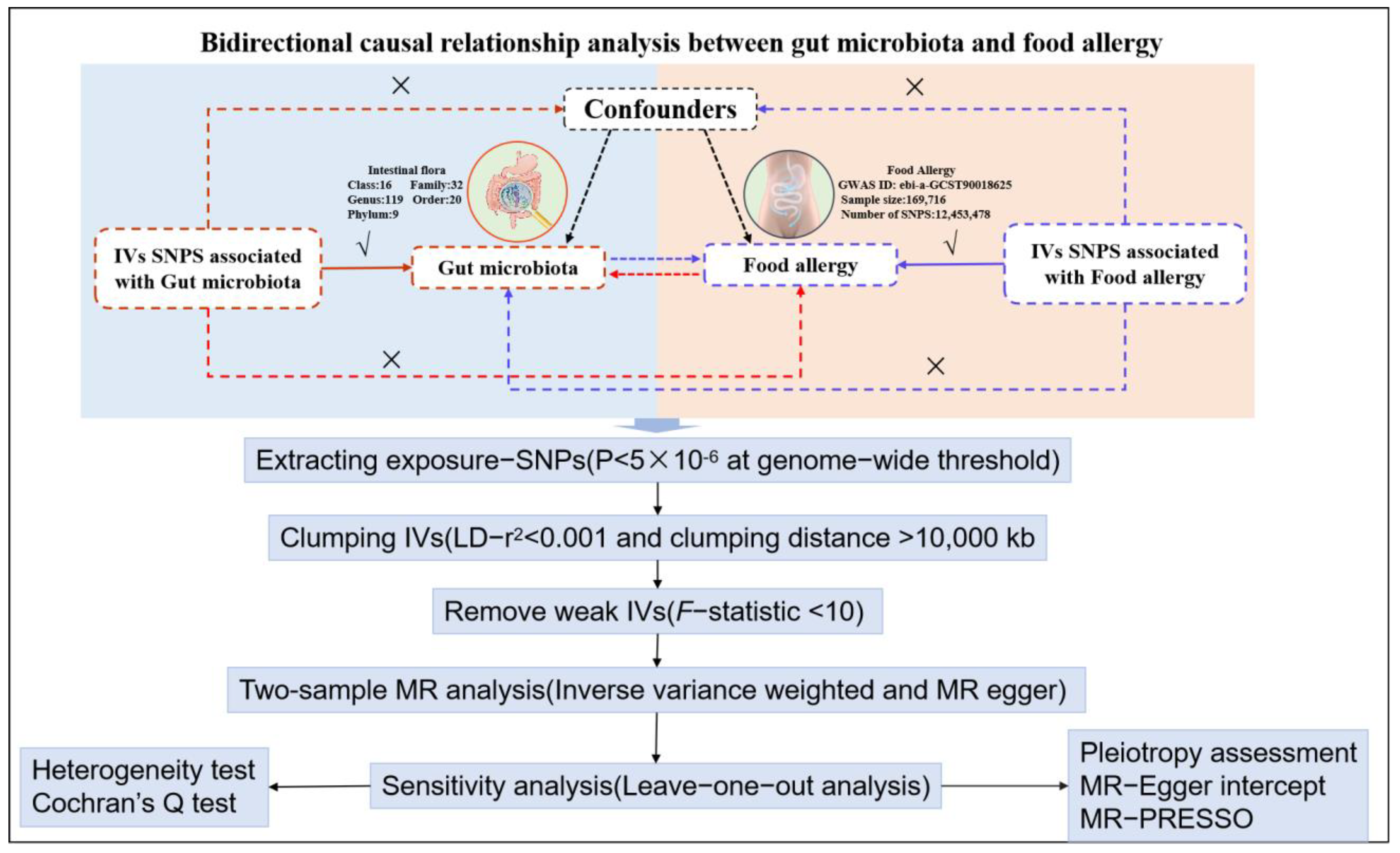 Nutrients 17 01611 g001