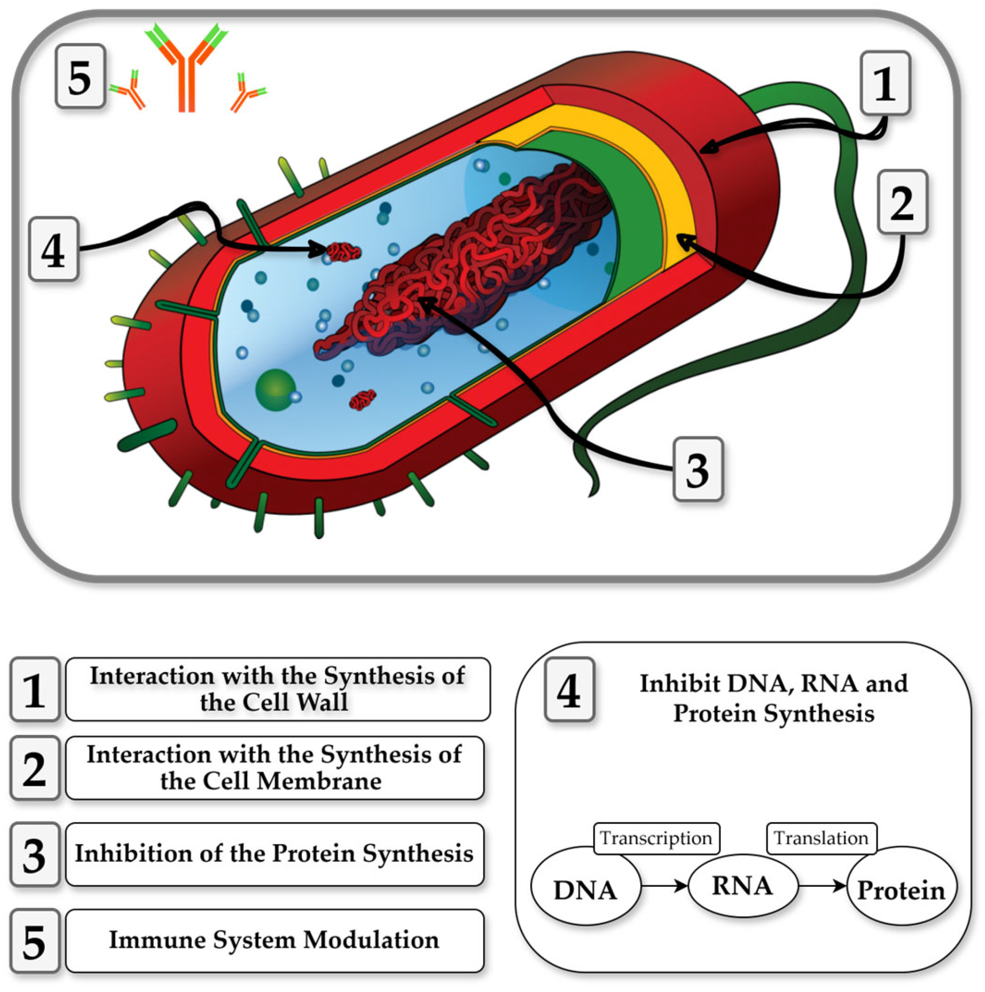Nutrients 17 01615 g003