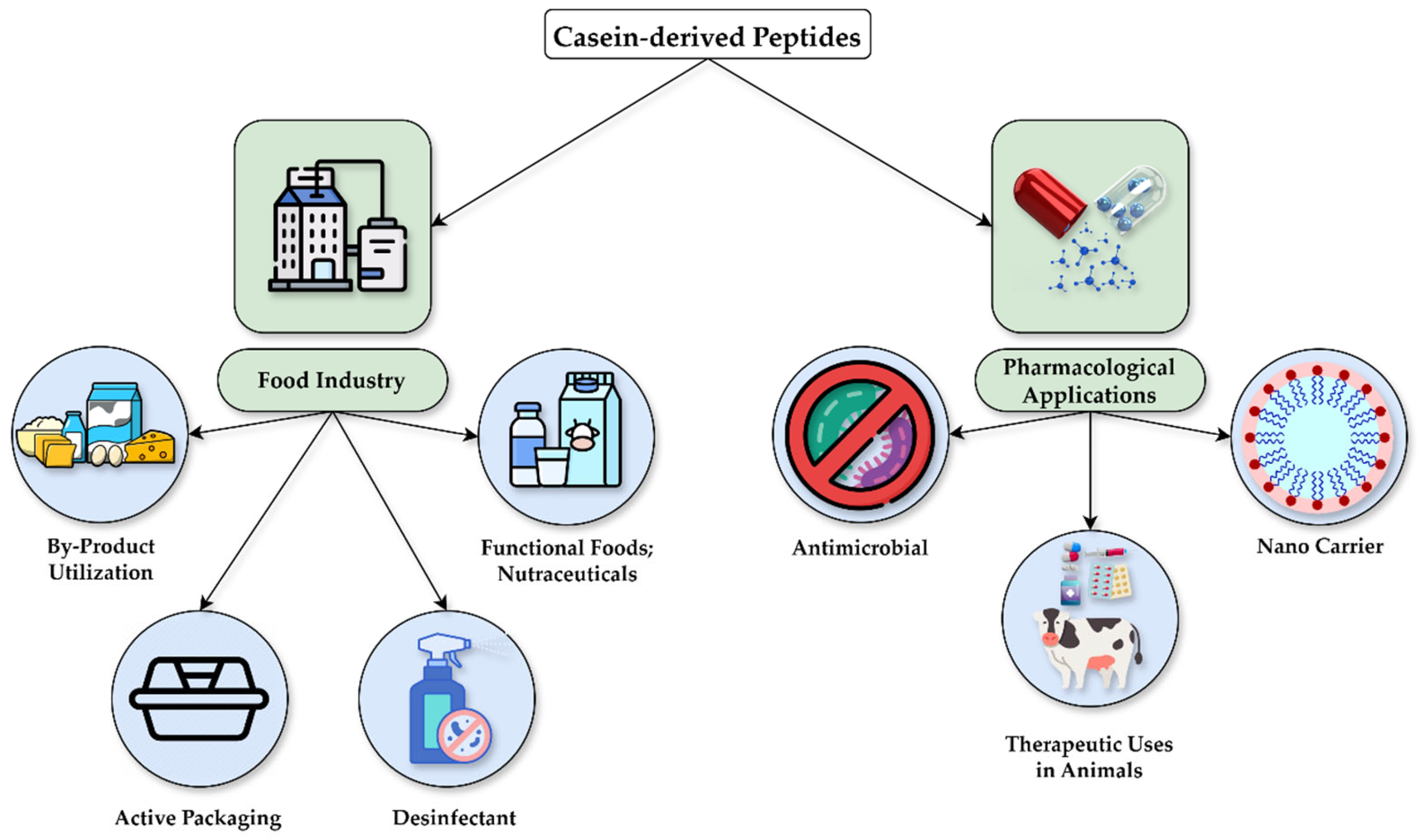 Nutrients 17 01615 g004