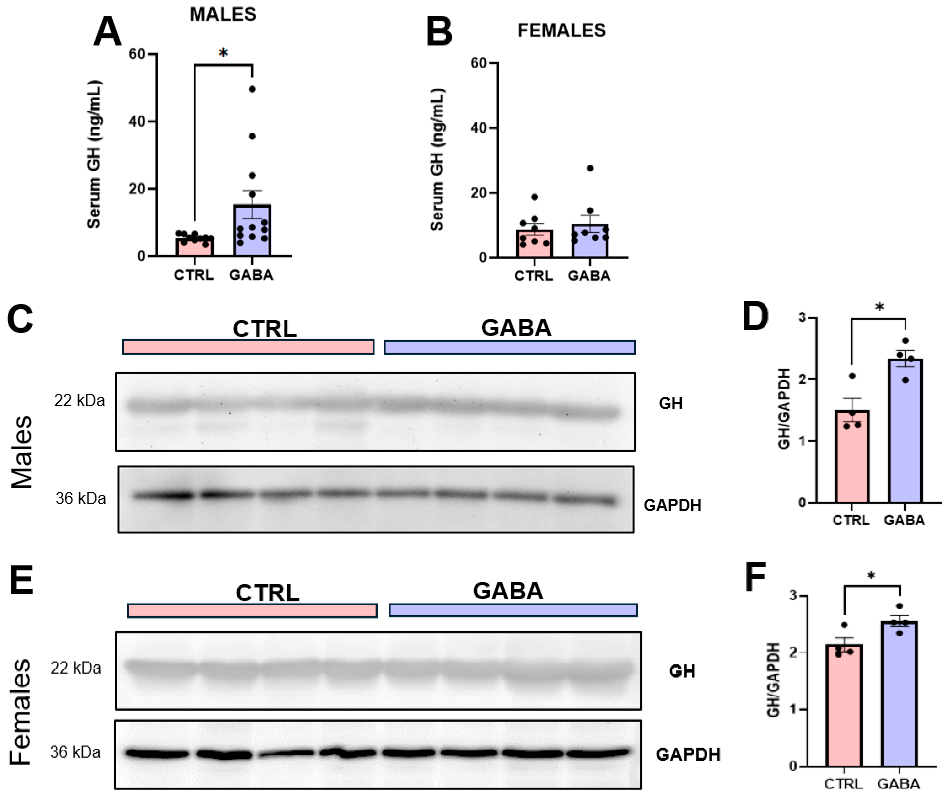 Nutrients 17 01634 g007 Nutrients 17 01634 g007