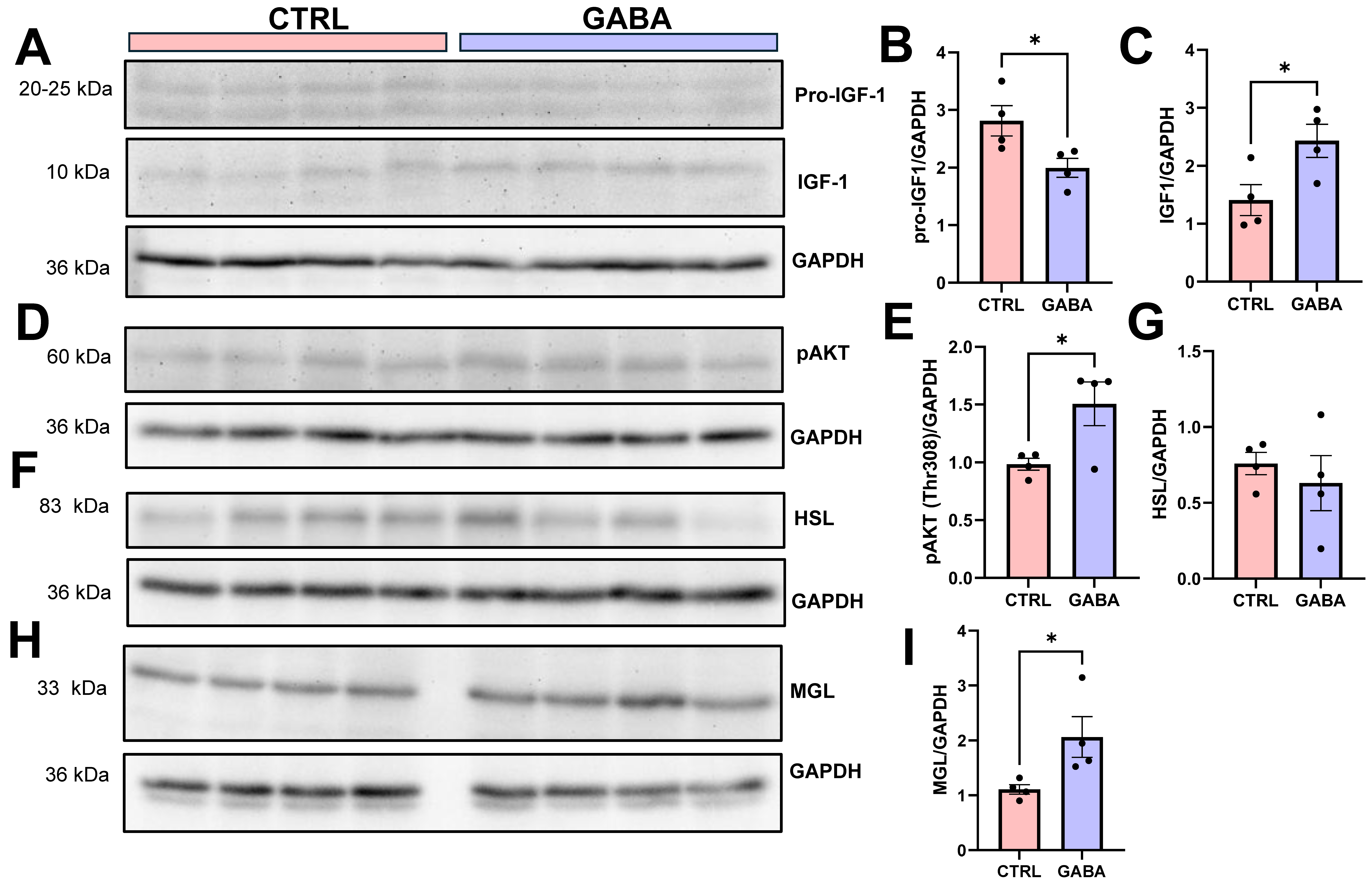Nutrients 17 01634 g008 Nutrients 17 01634 g008