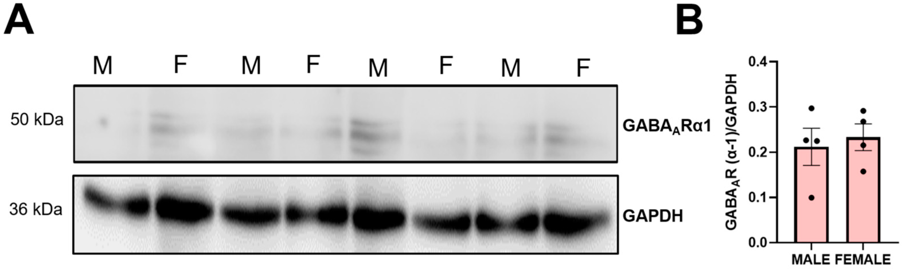 Nutrients 17 01634 g0a3 Nutrients 17 01634 g0a3