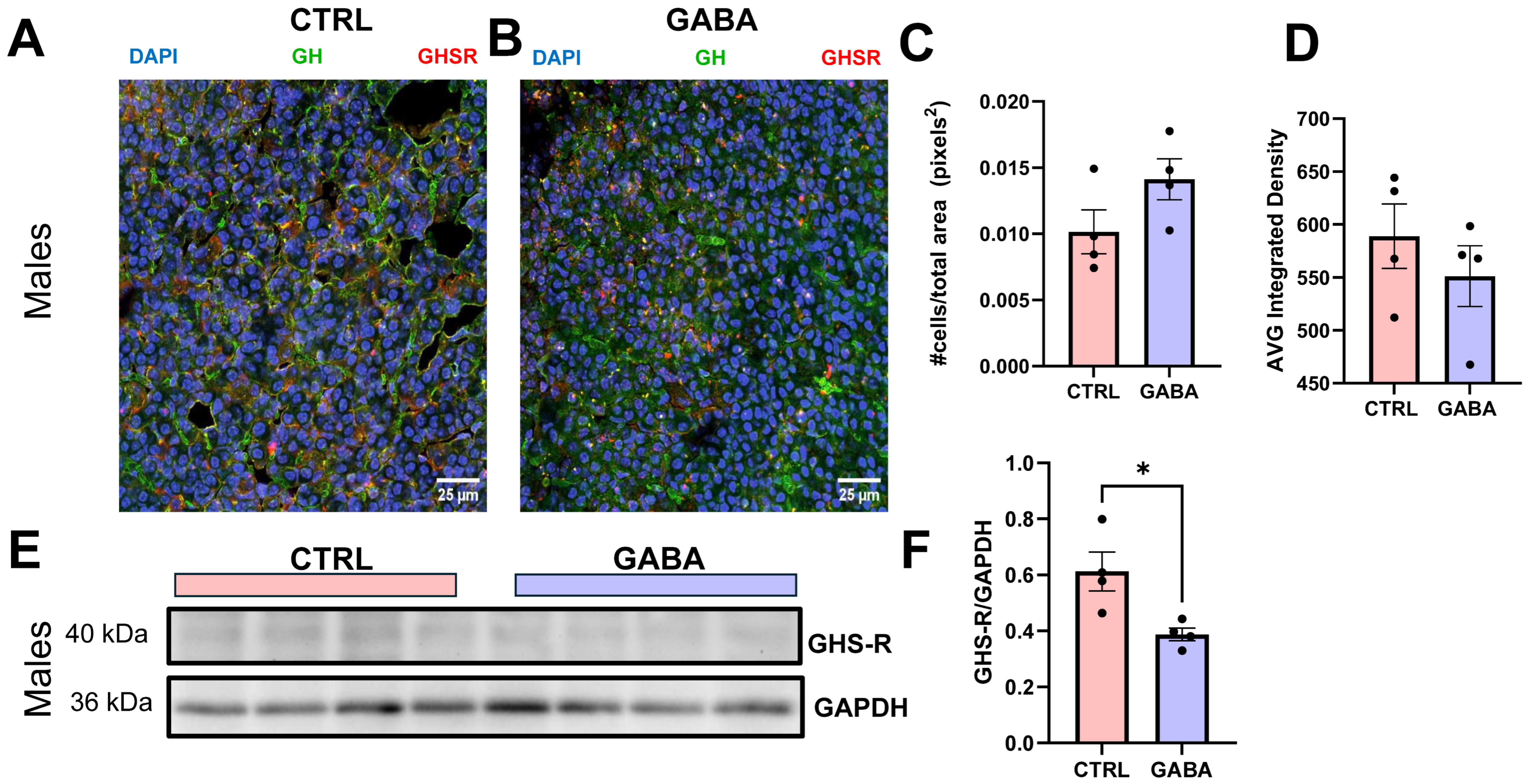 Nutrients 17 01634 g0a5 Nutrients 17 01634 g0a5