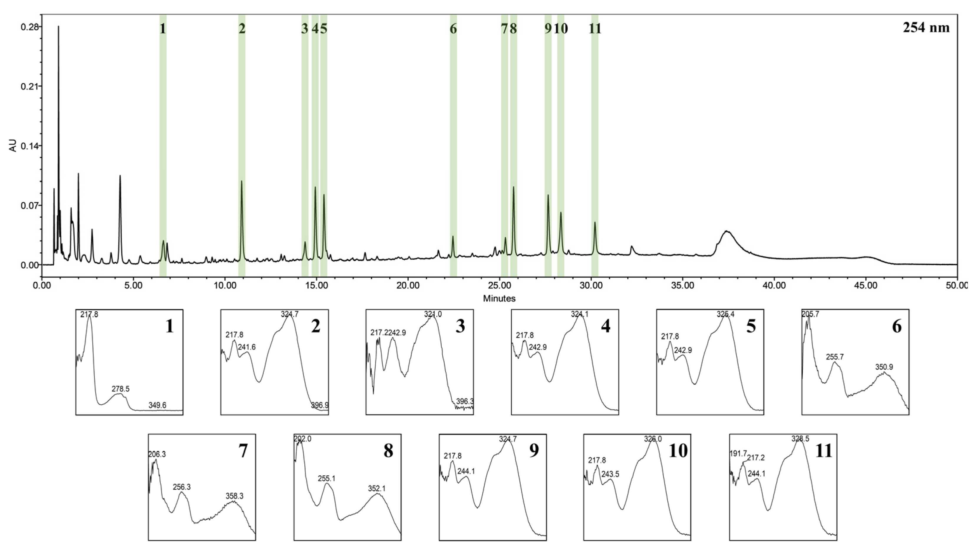Nutrients 17 01643 g001