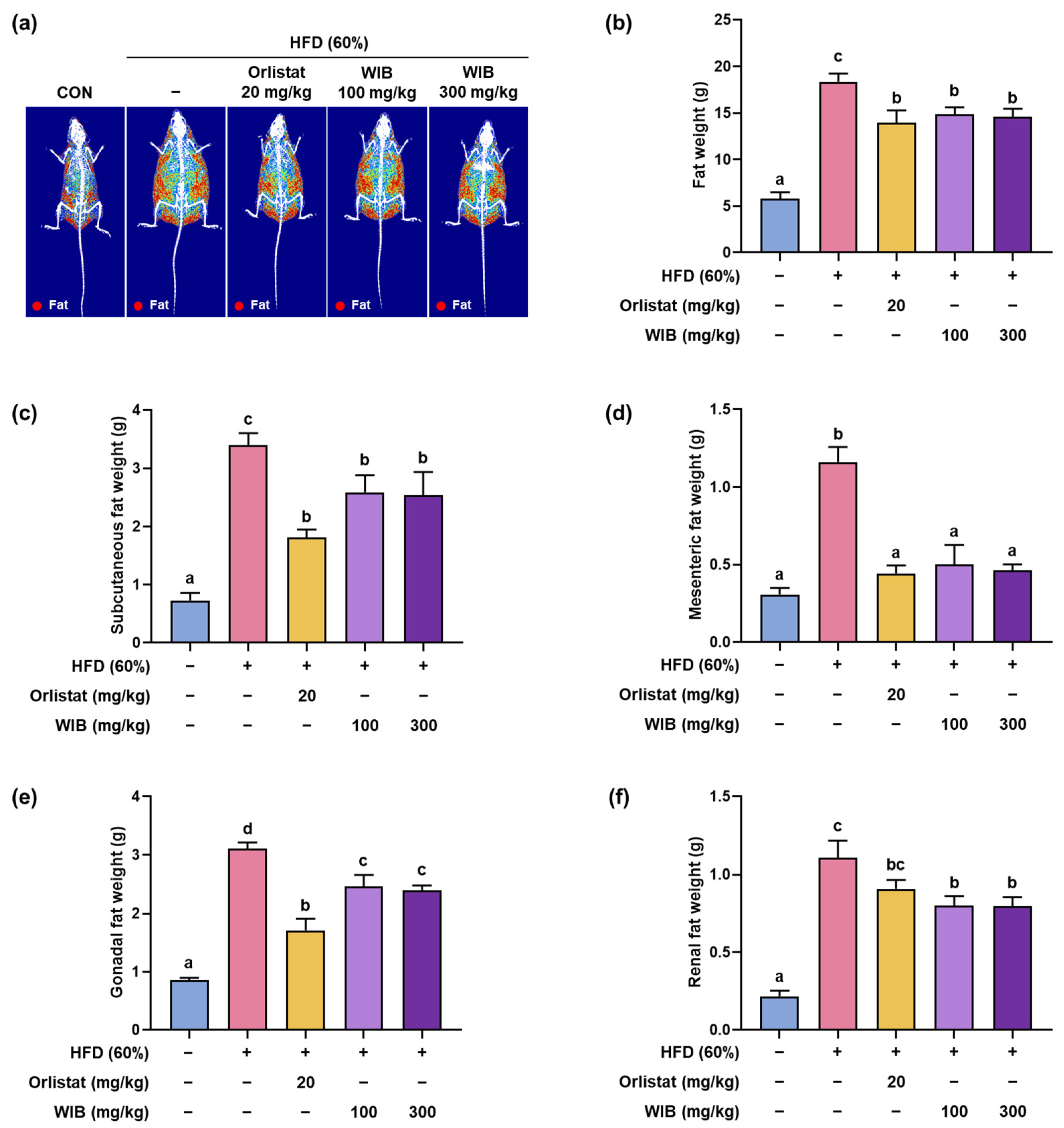 Nutrients 17 01643 g003