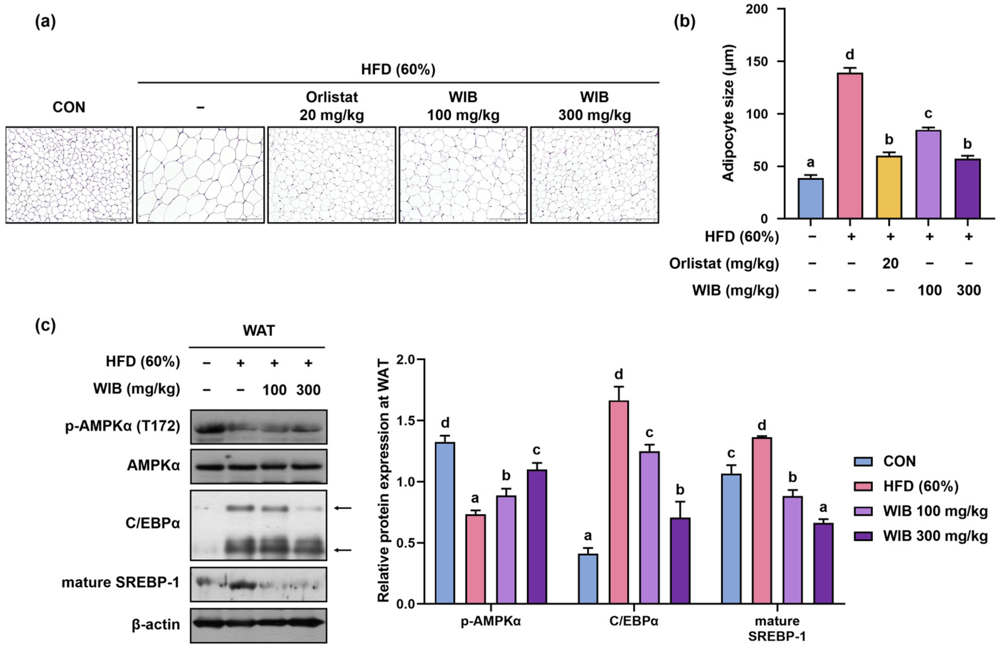 Nutrients 17 01643 g005