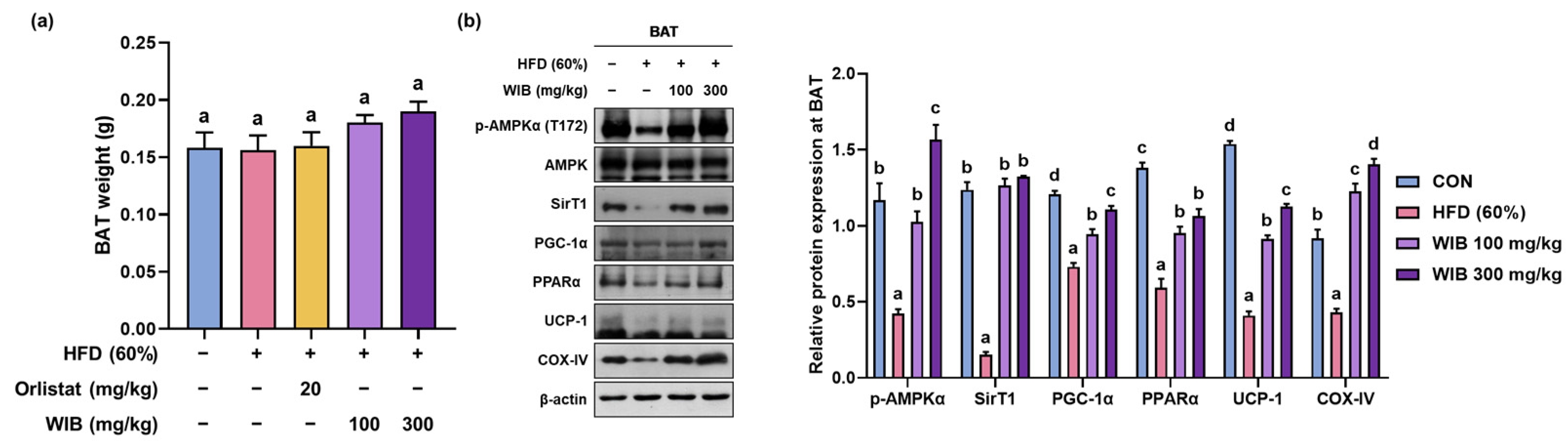 Nutrients 17 01643 g007