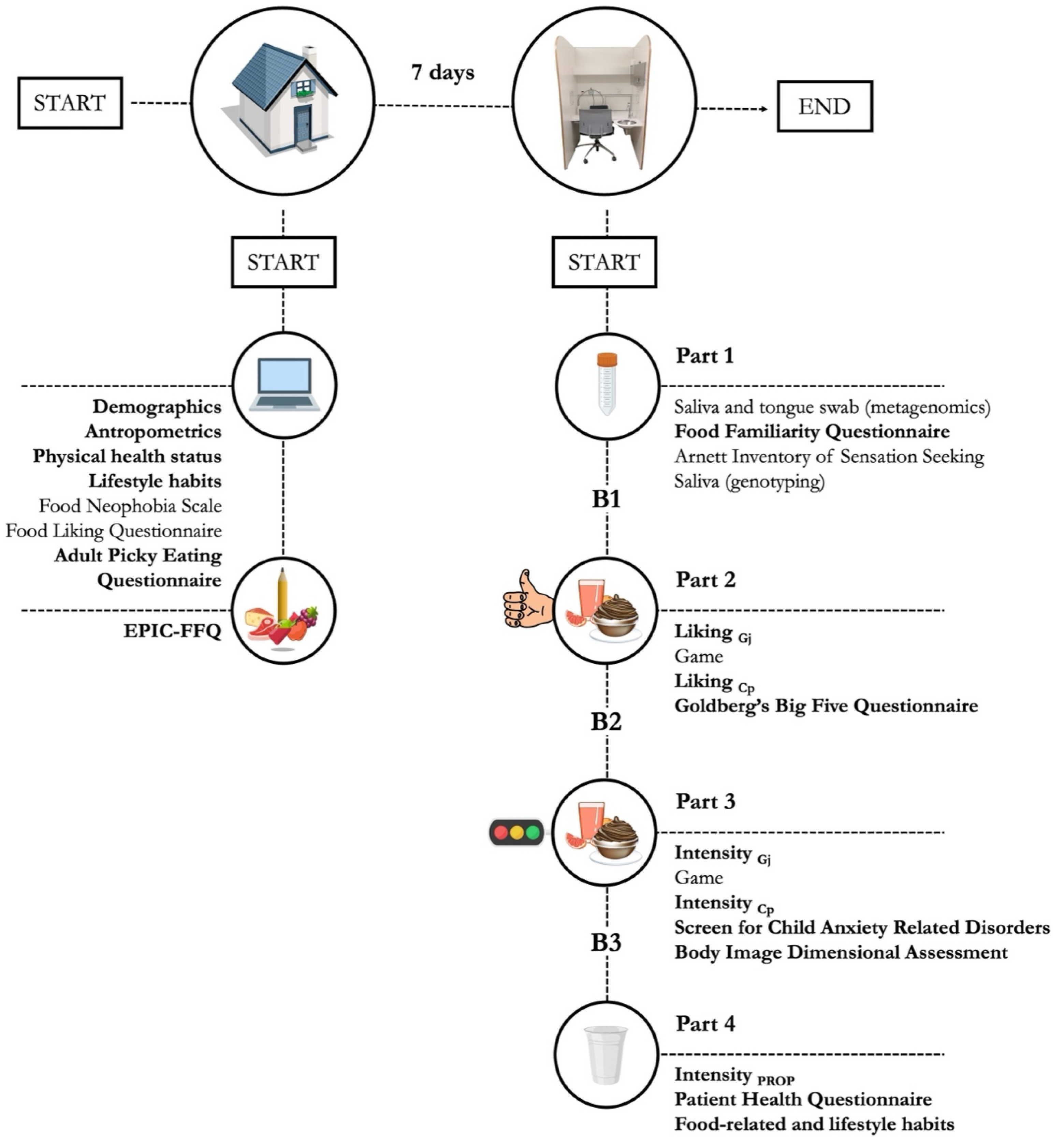Nutrients 17 01653 g001