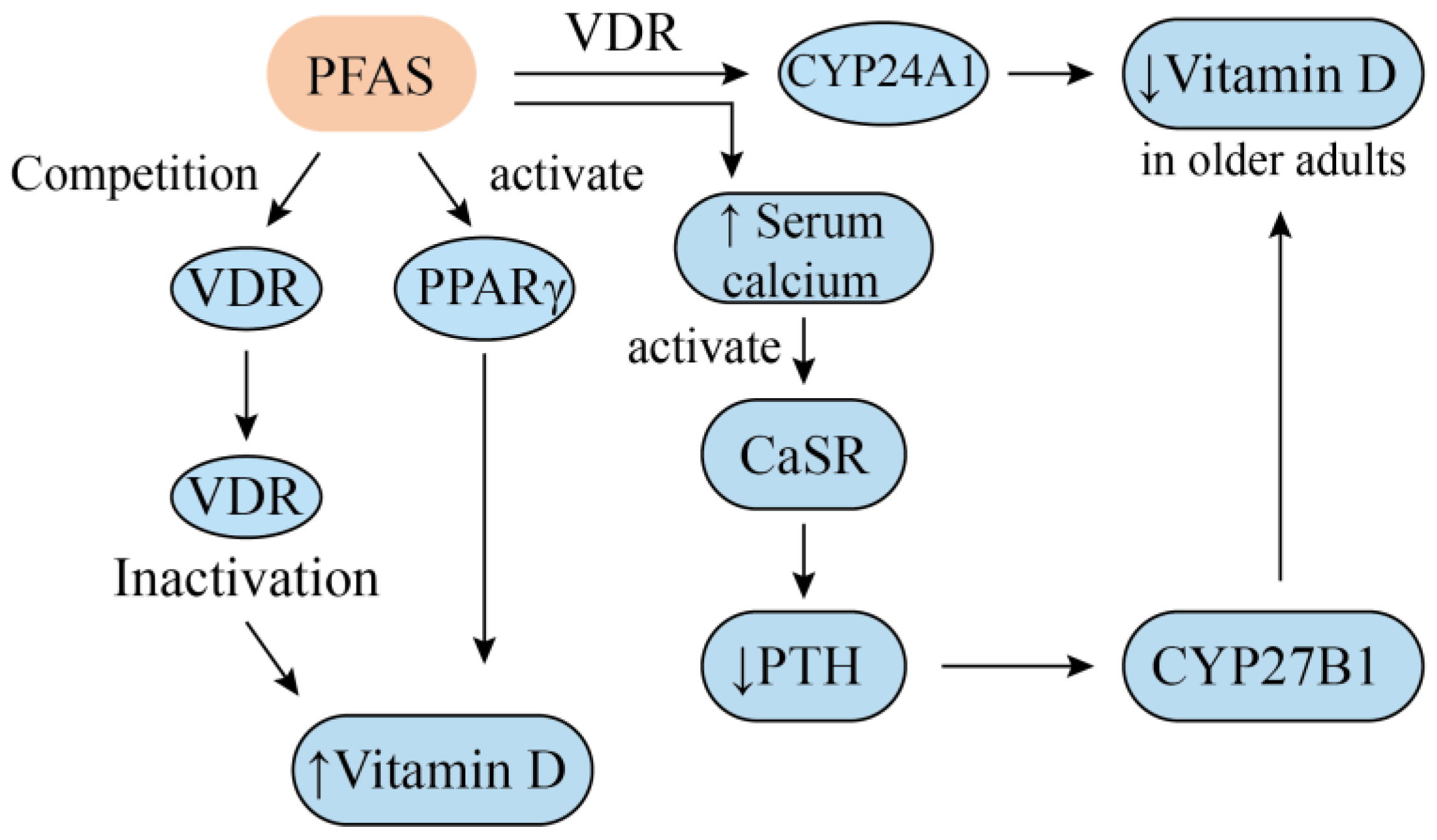 Nutrients 17 01660 g001