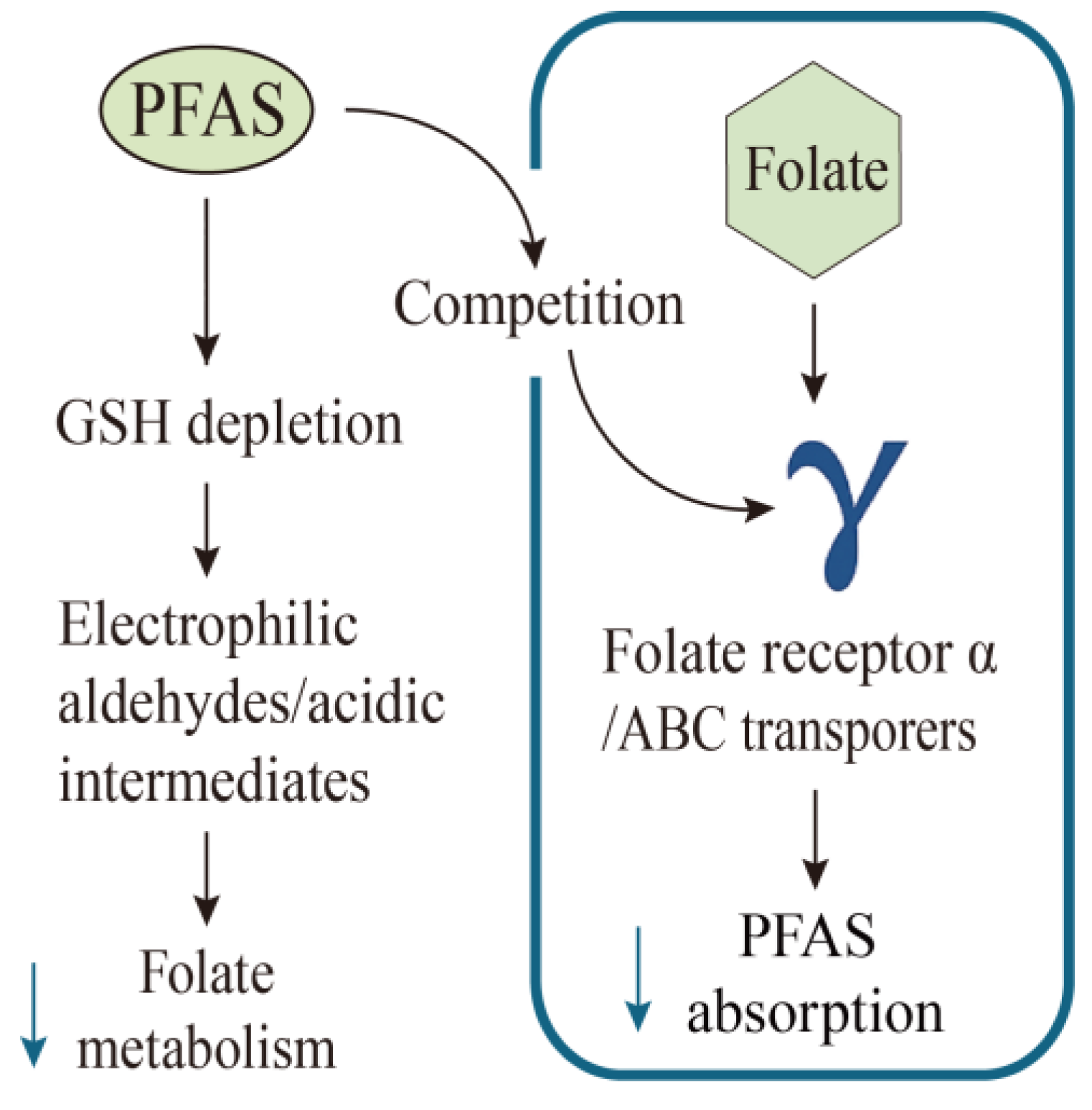 Nutrients 17 01660 g002