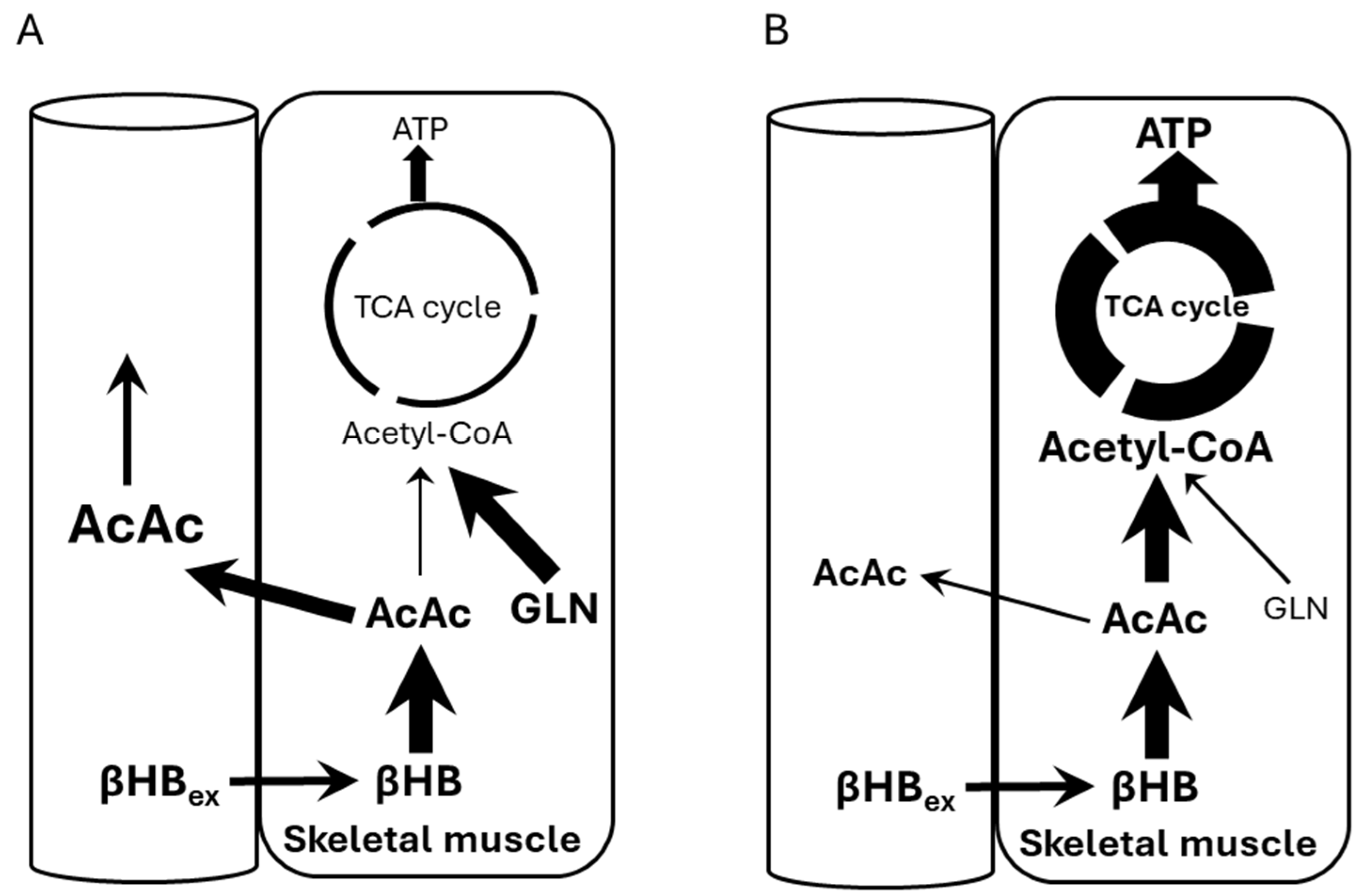Nutrients 17 01665 g005