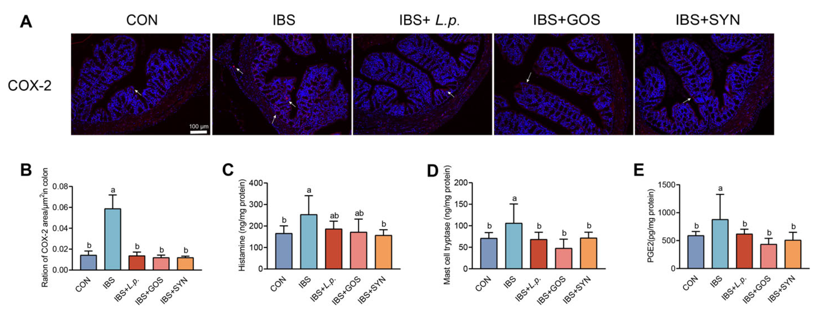 Nutrients 17 01670 g002
