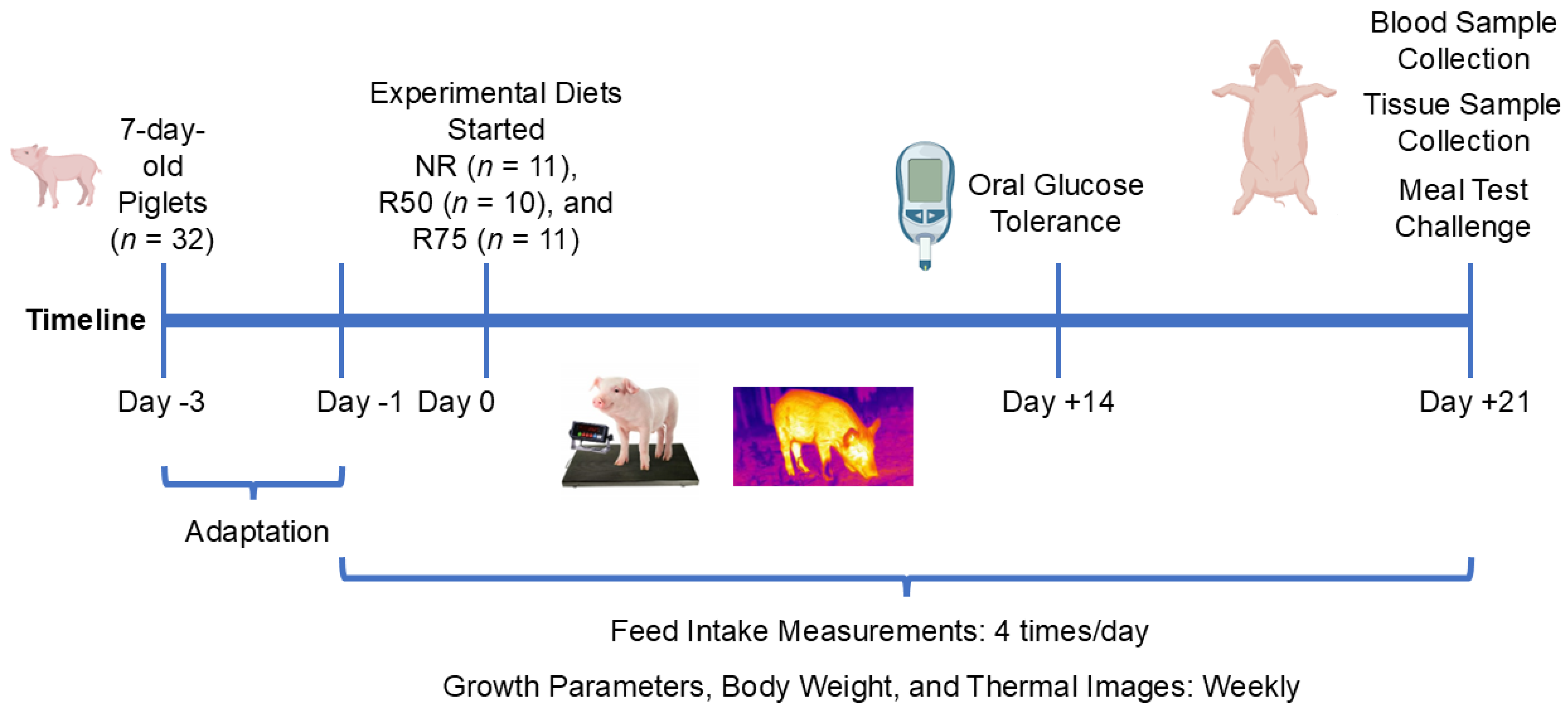 Nutrients 17 01675 g001 Nutrients 17 01675 g001