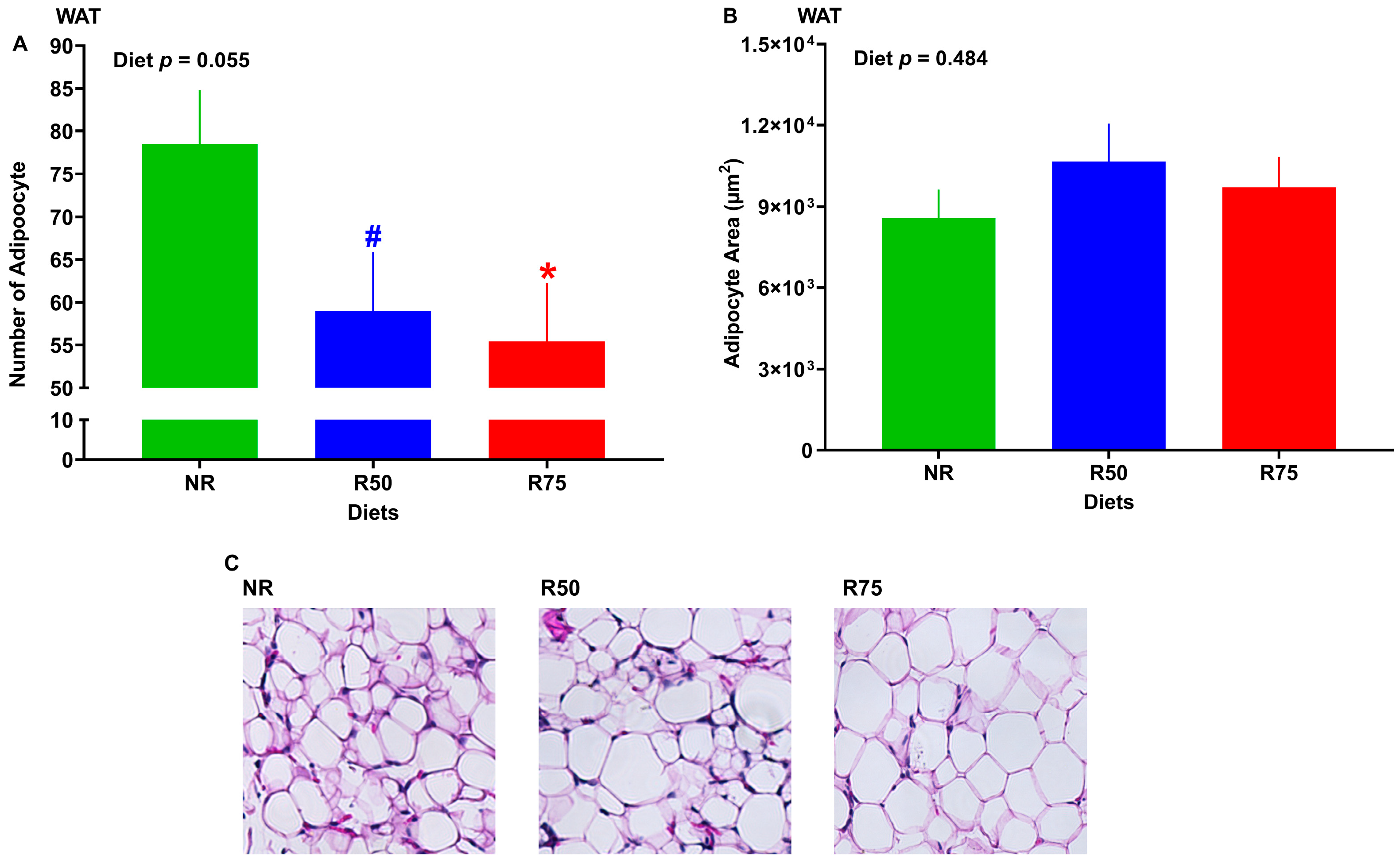 Nutrients 17 01675 g004 Nutrients 17 01675 g004