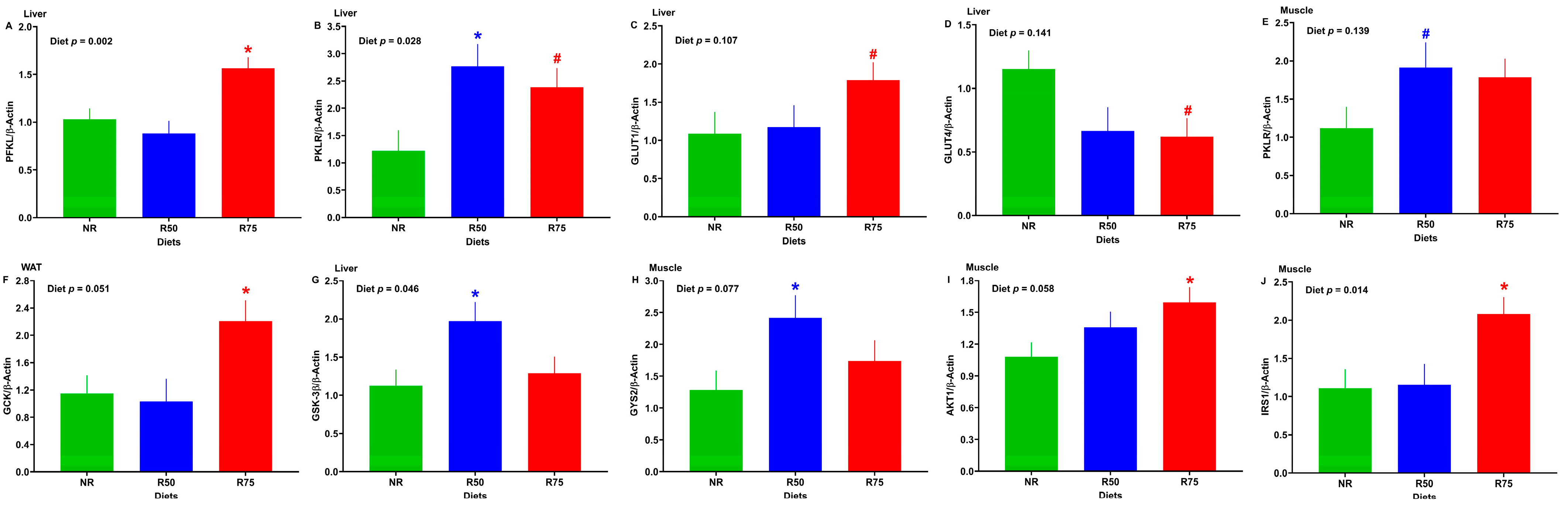 Nutrients 17 01675 g005 Nutrients 17 01675 g005