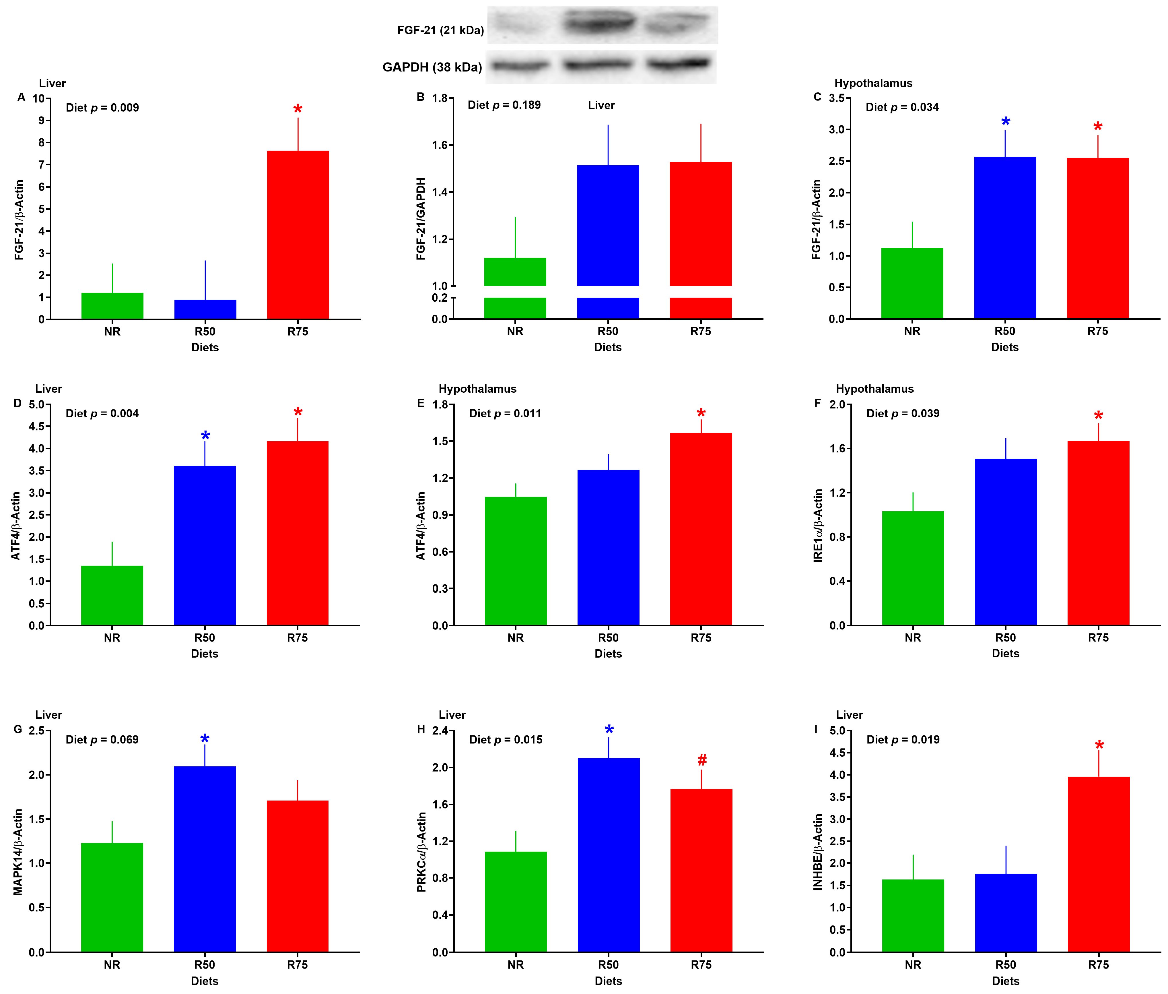 Nutrients 17 01675 g007 Nutrients 17 01675 g007
