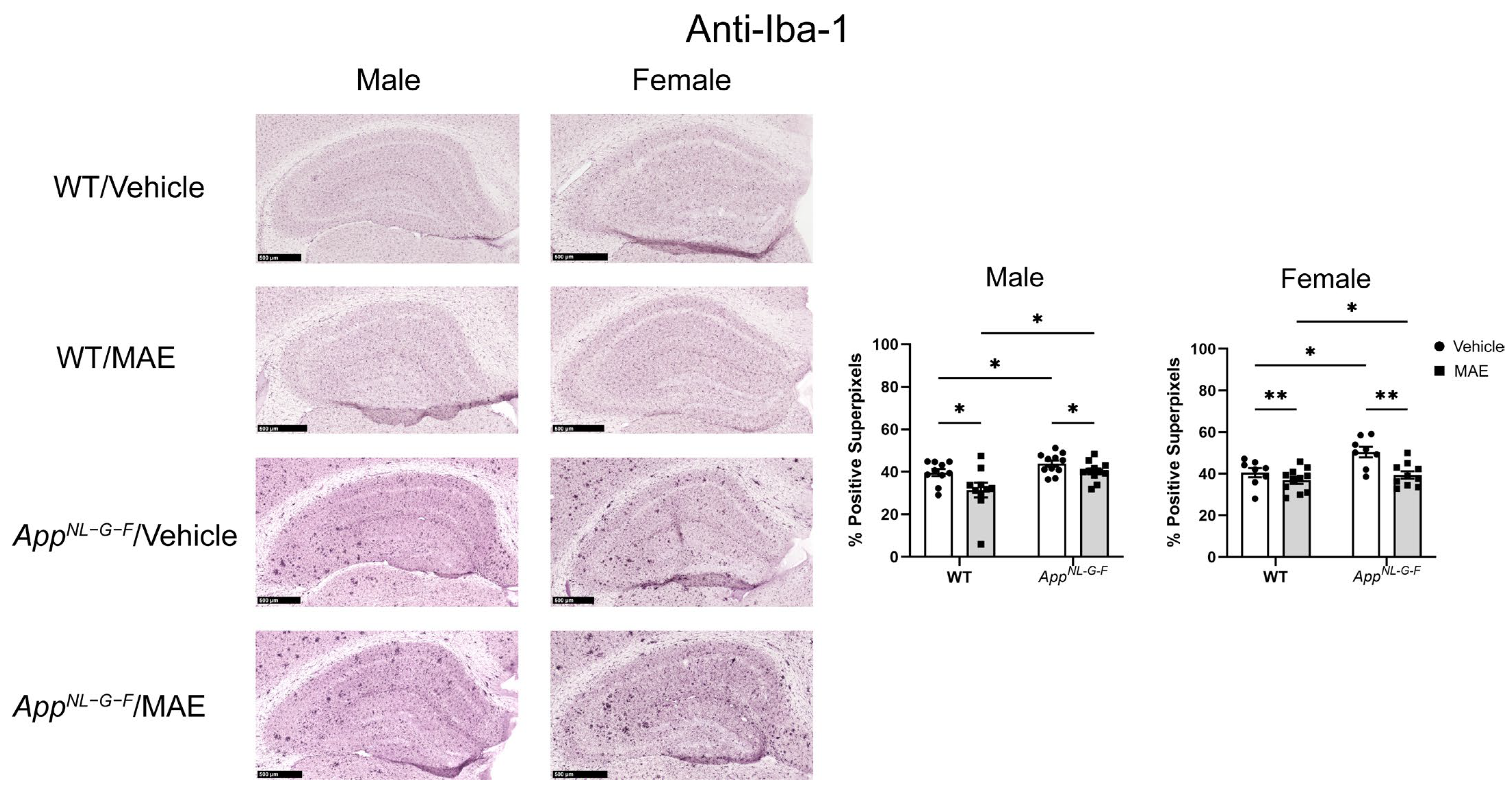Nutrients 17 01677 g007