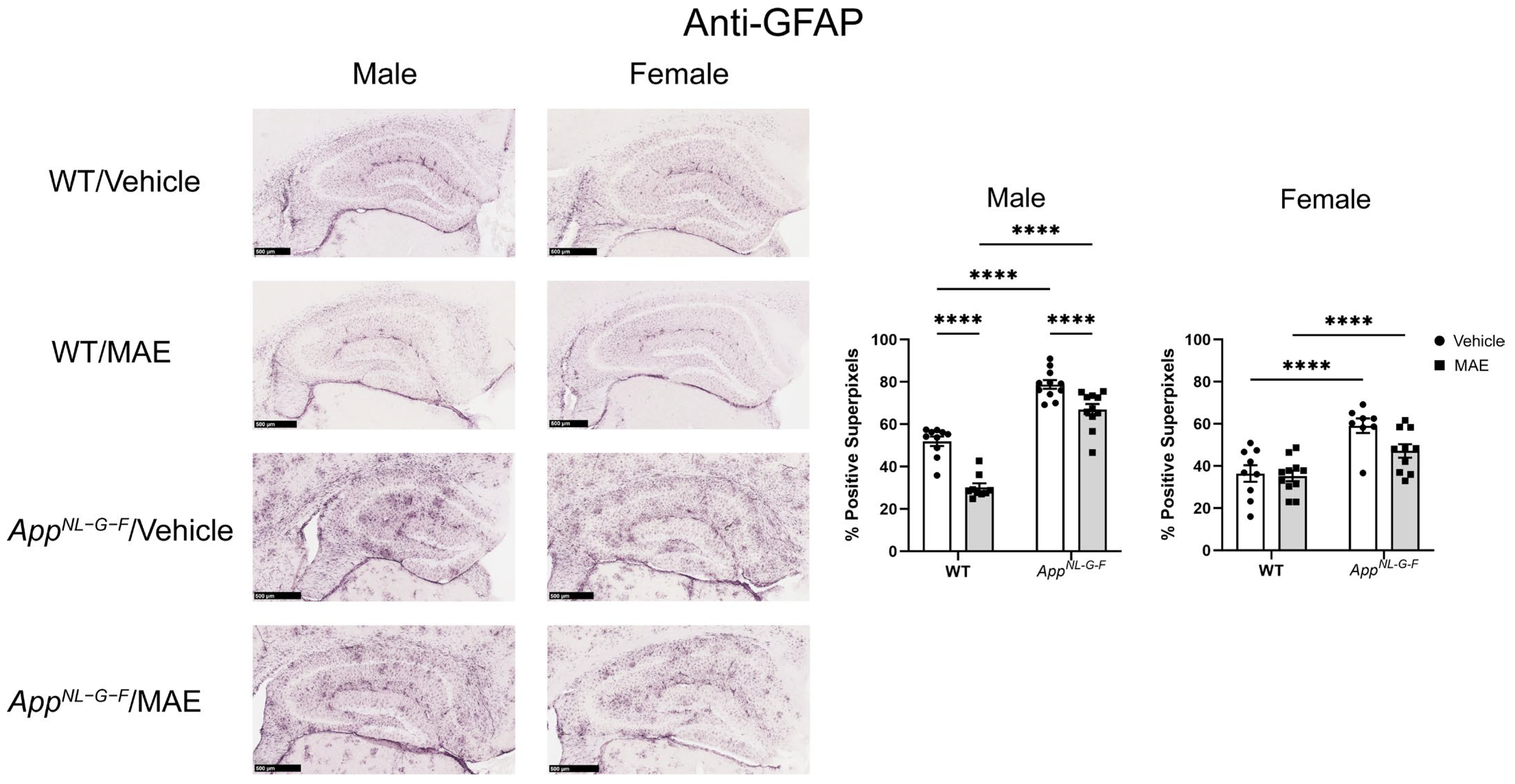 Nutrients 17 01677 g008