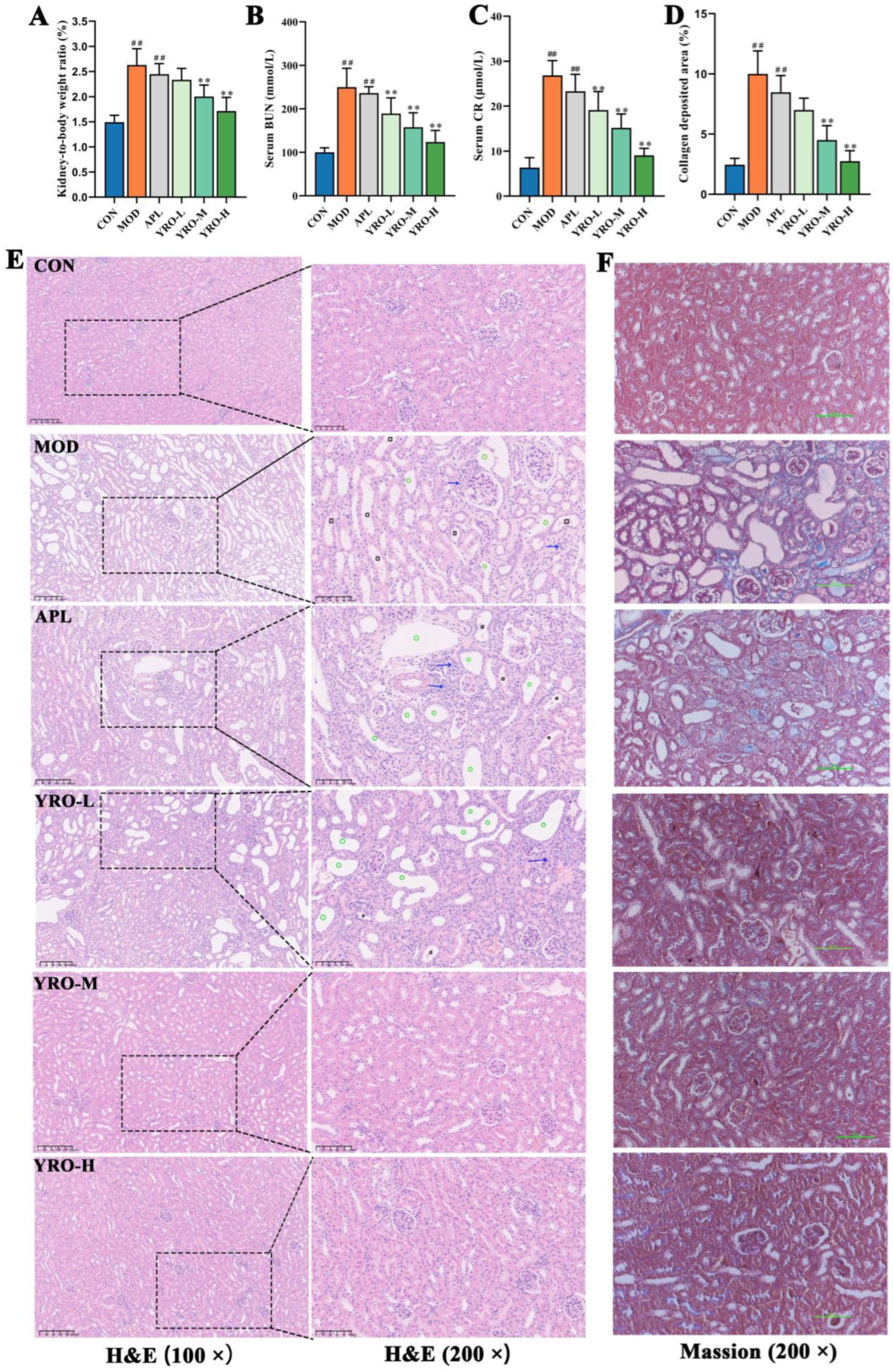 Nutrients 17 01679 g002 Nutrients 17 01679 g002