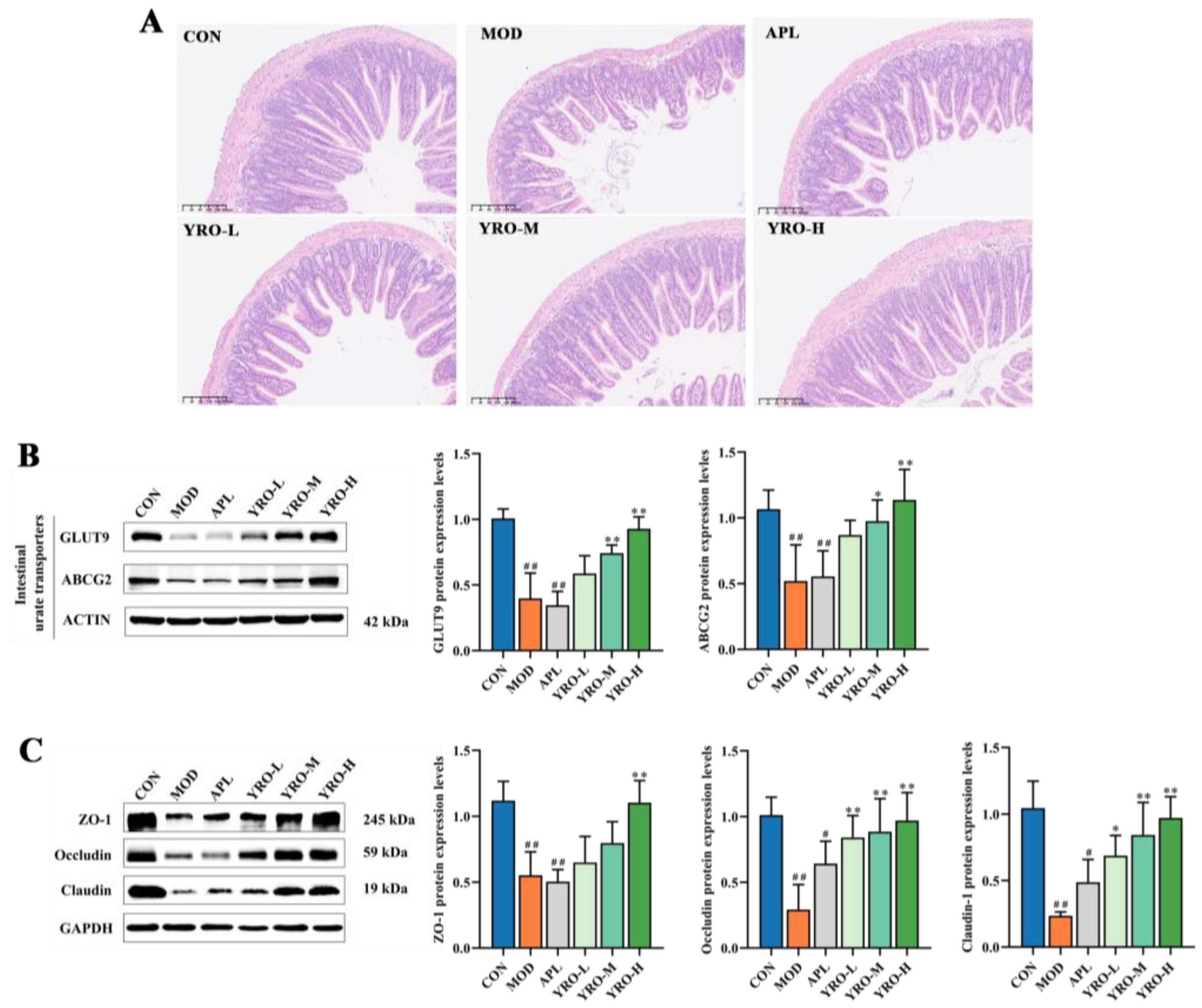 Nutrients 17 01679 g005 Nutrients 17 01679 g005