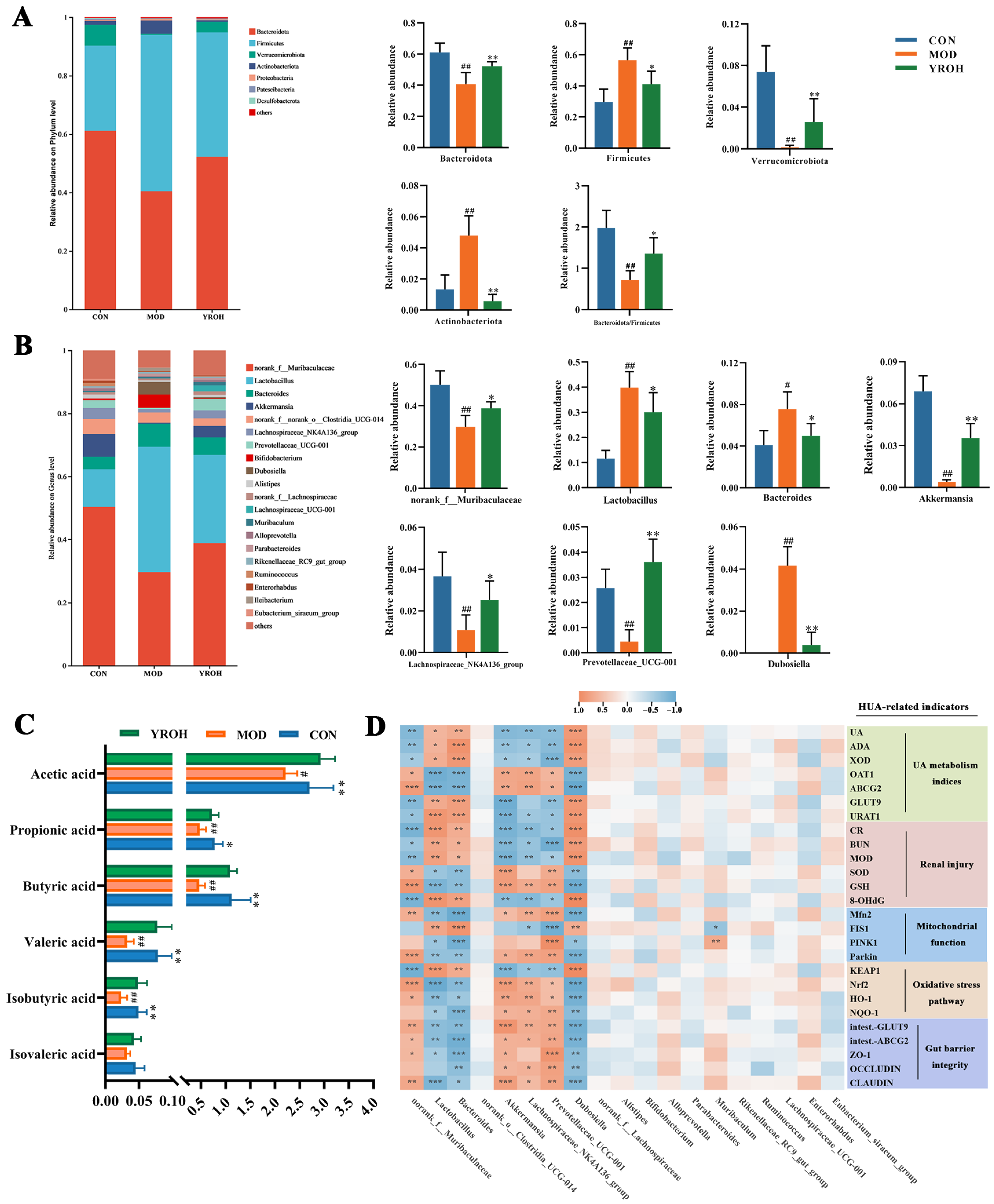 Nutrients 17 01679 g007 Nutrients 17 01679 g007