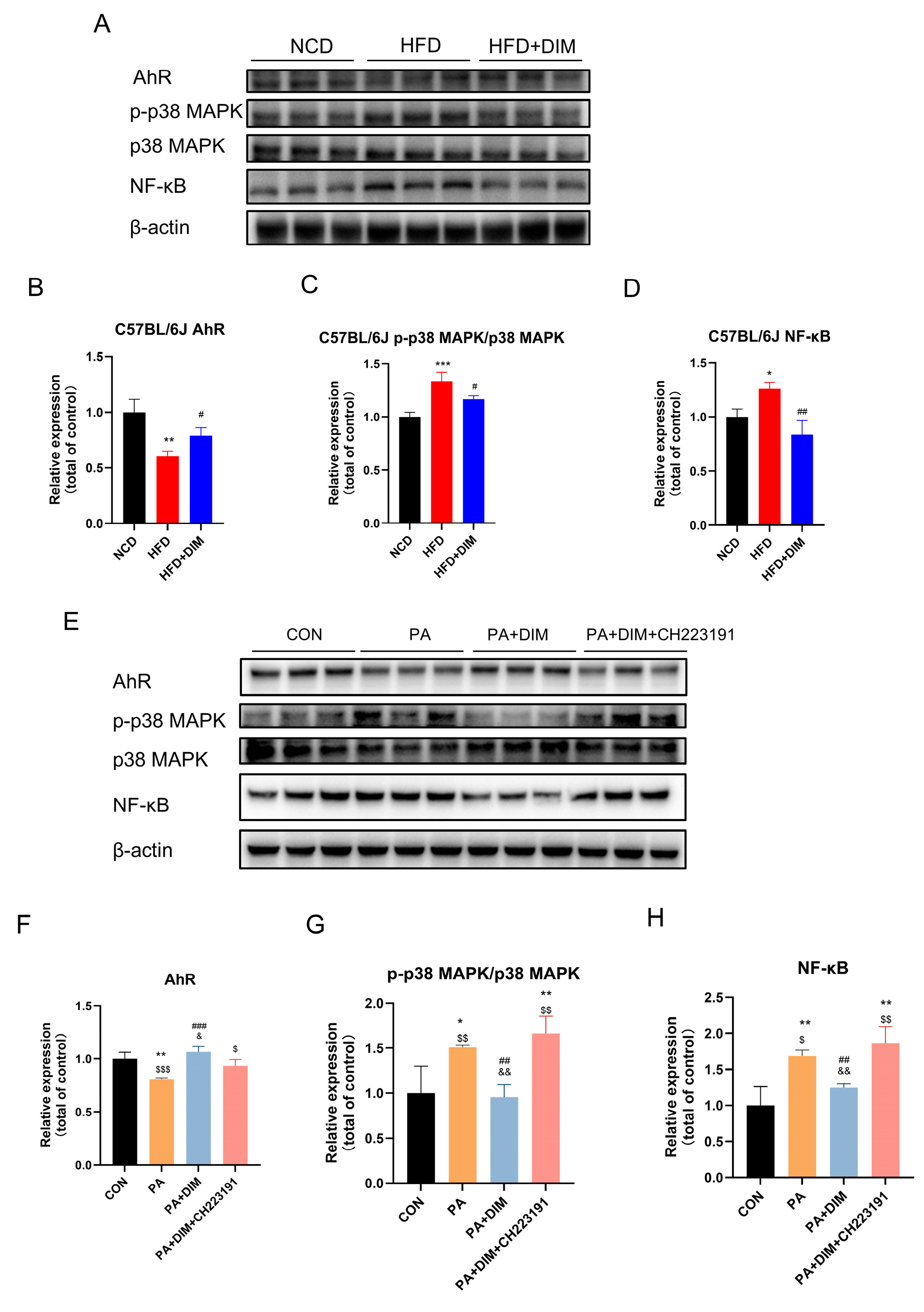 Nutrients 17 01681 g003