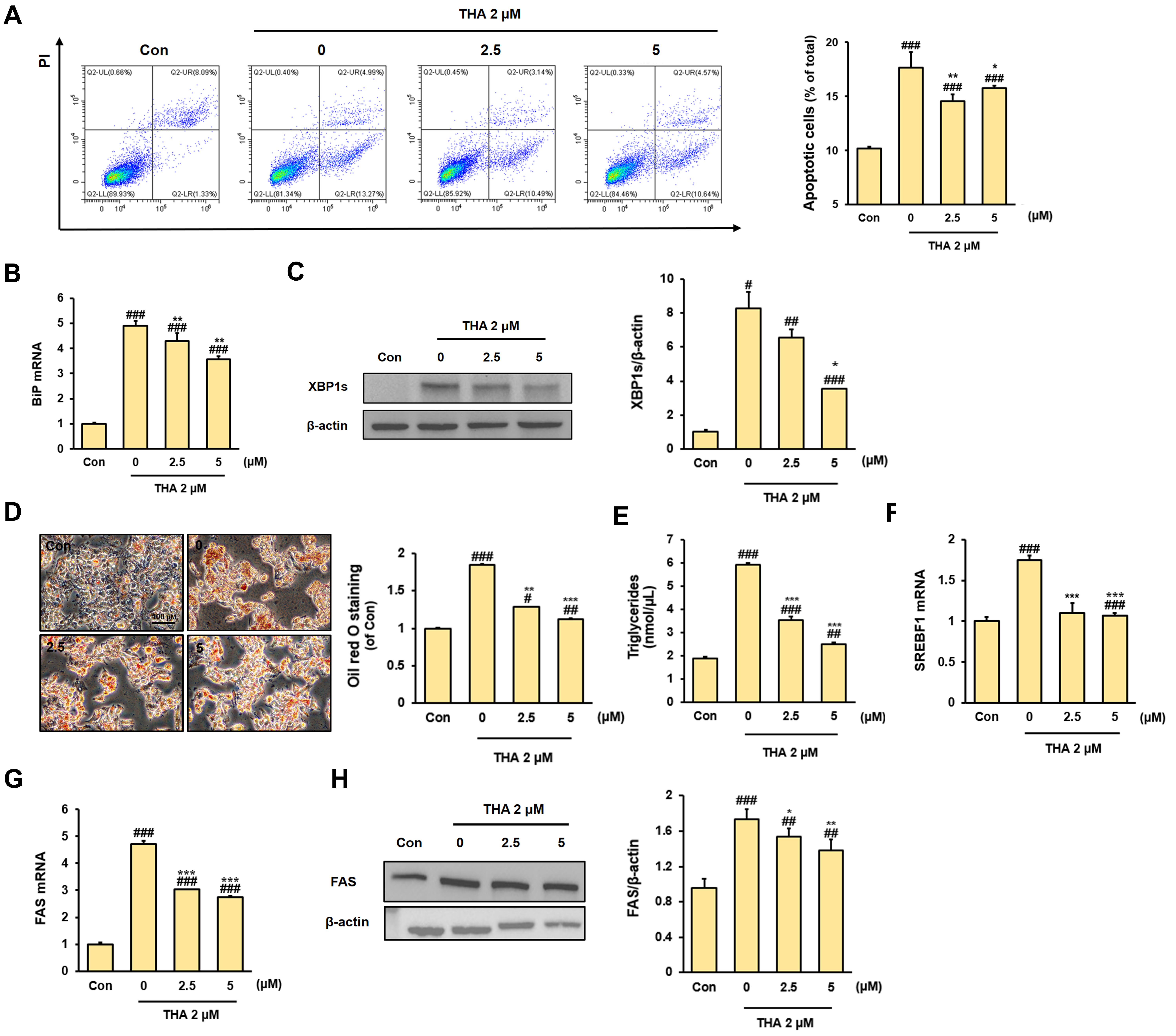Nutrients 17 01682 g003