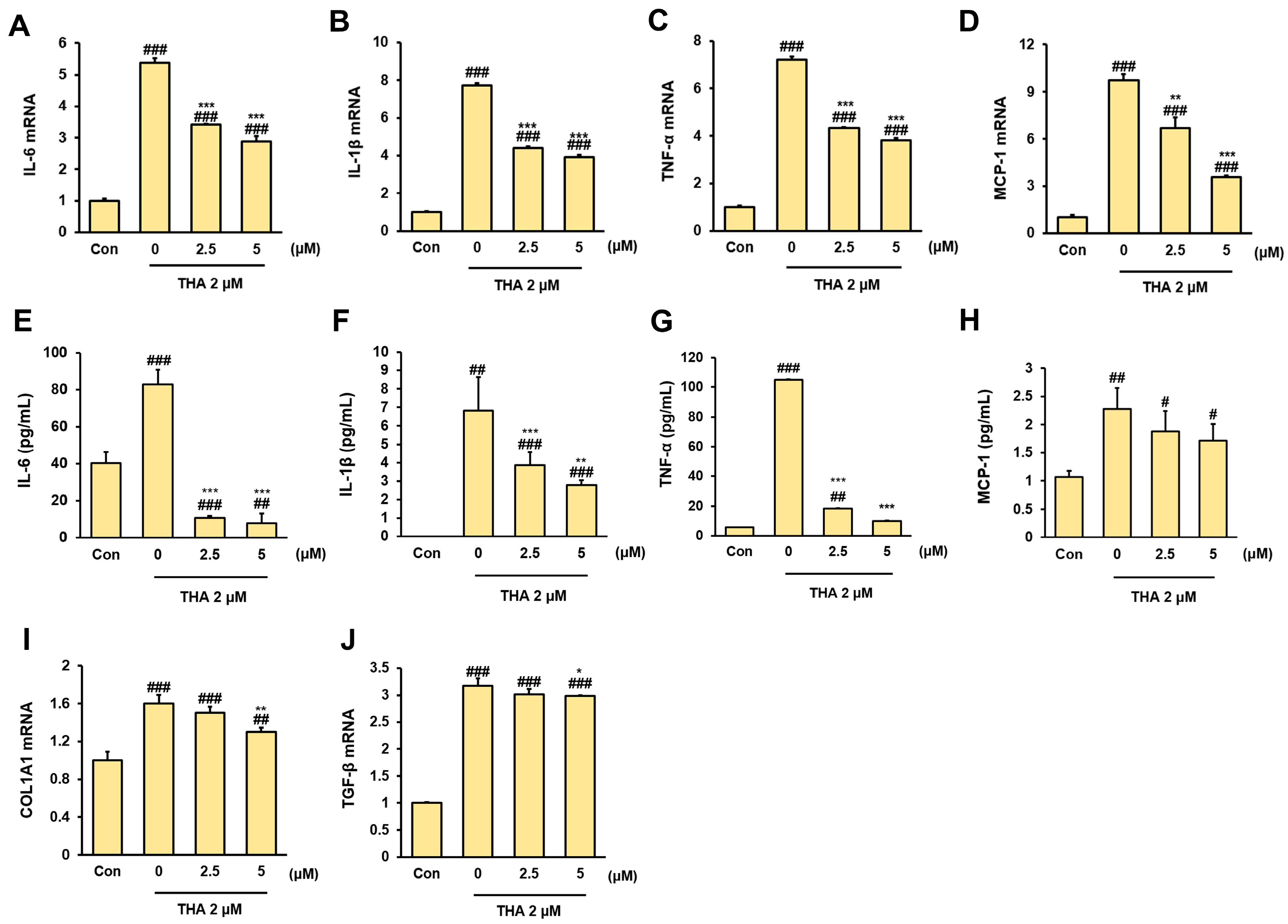 Nutrients 17 01682 g004