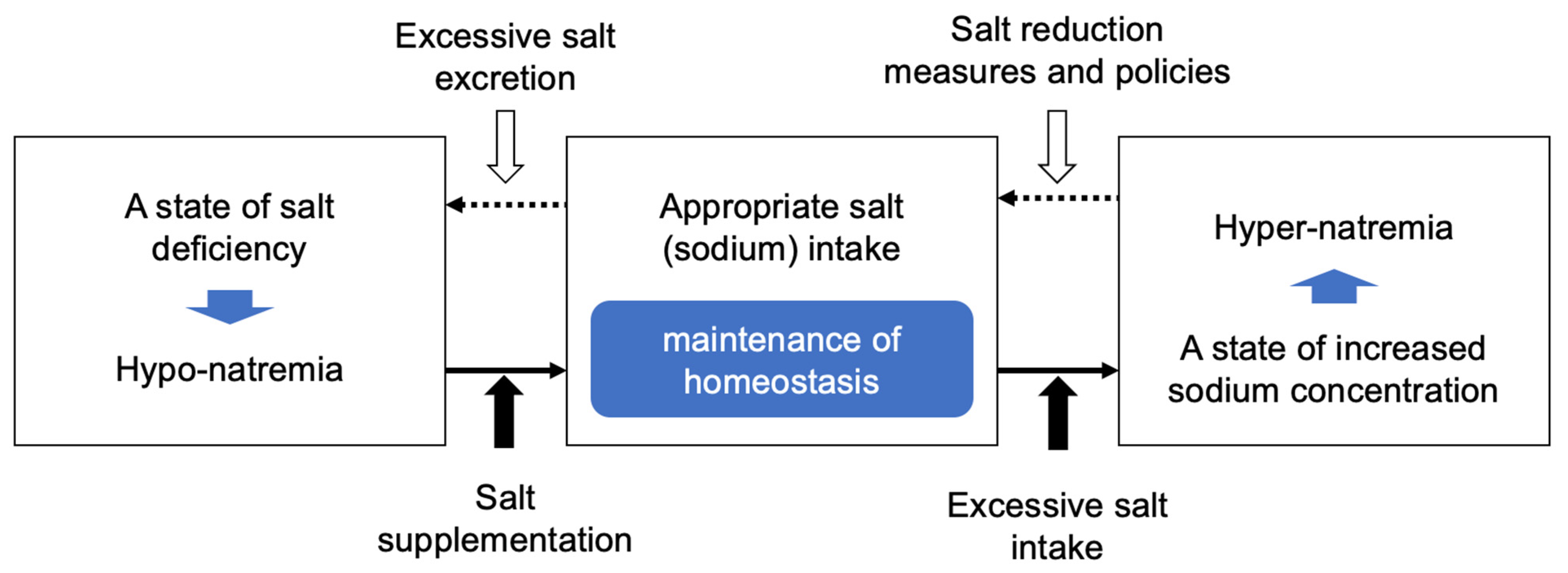 Nutrients 17 01684 g001 Nutrients 17 01684 g001