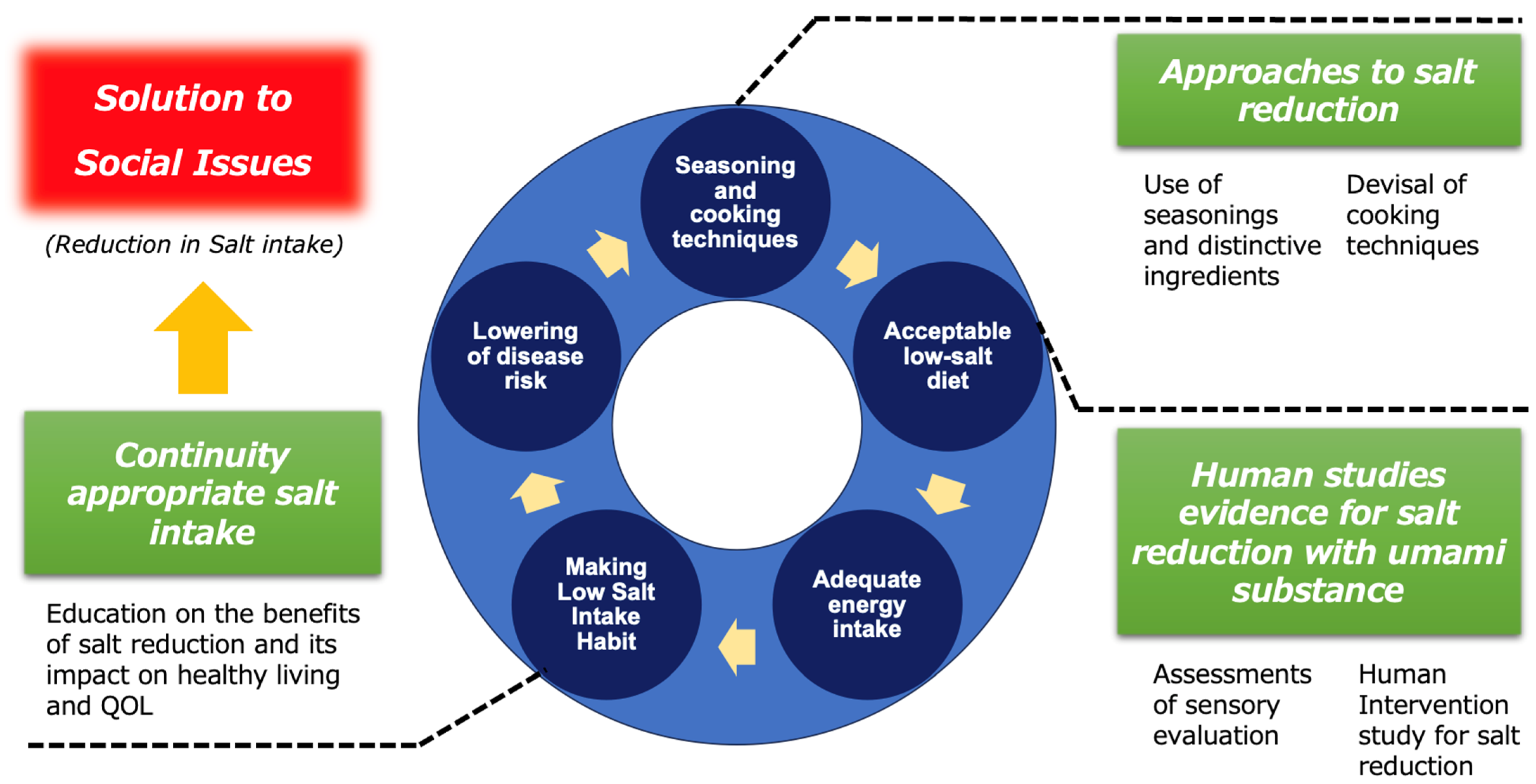 Nutrients 17 01684 g008 Nutrients 17 01684 g008