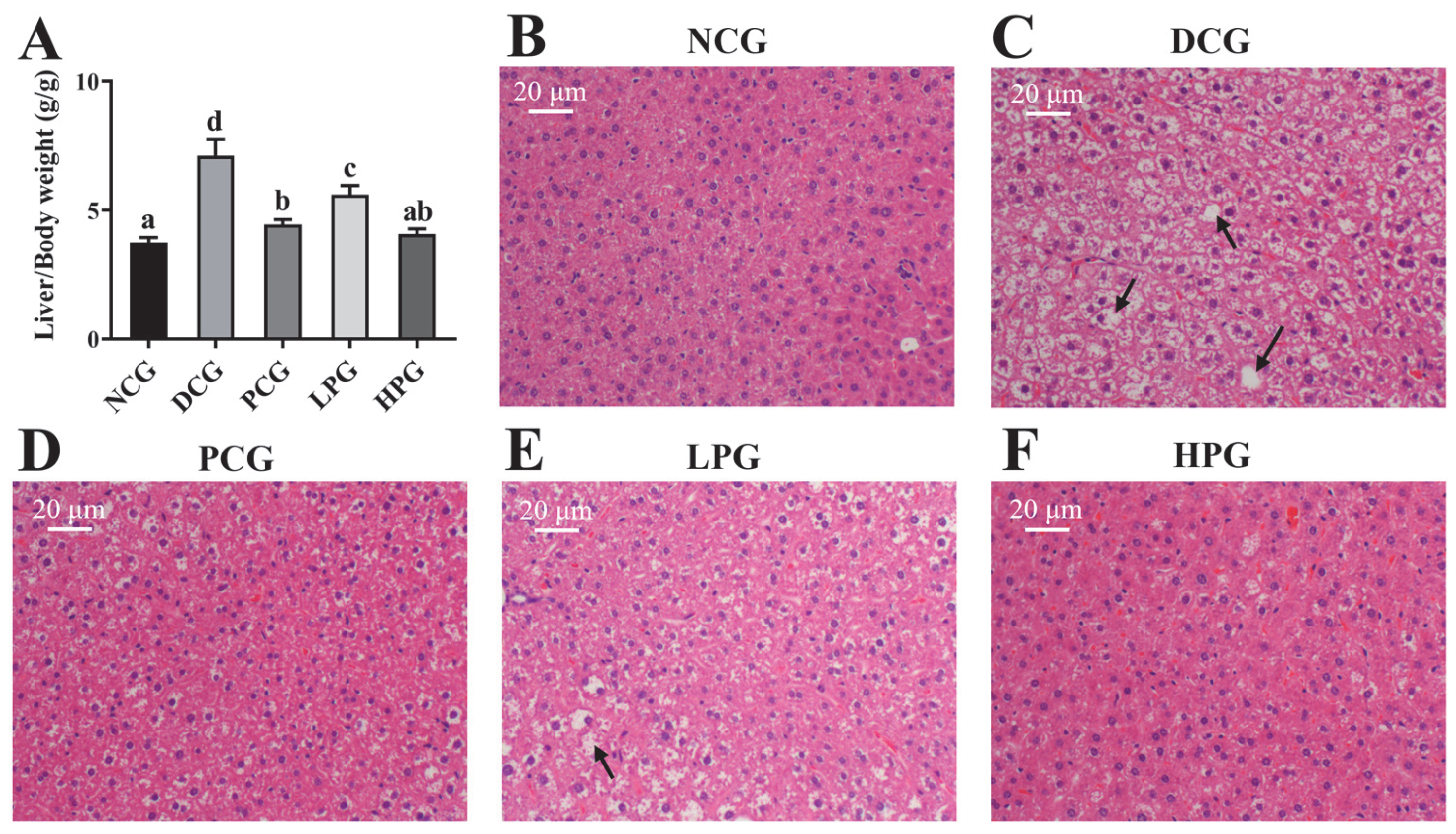 Nutrients 17 01693 g003