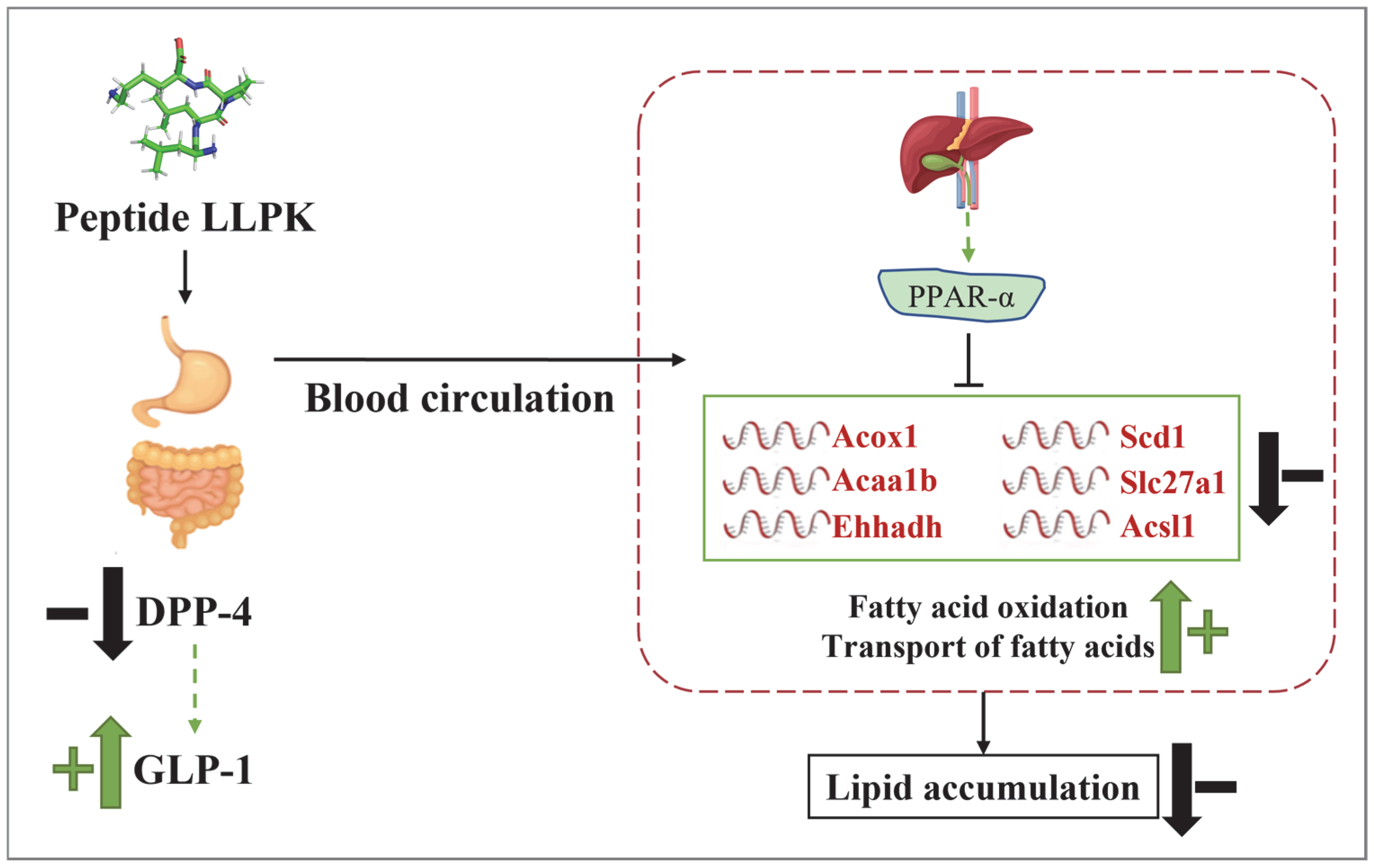 Nutrients 17 01693 g007