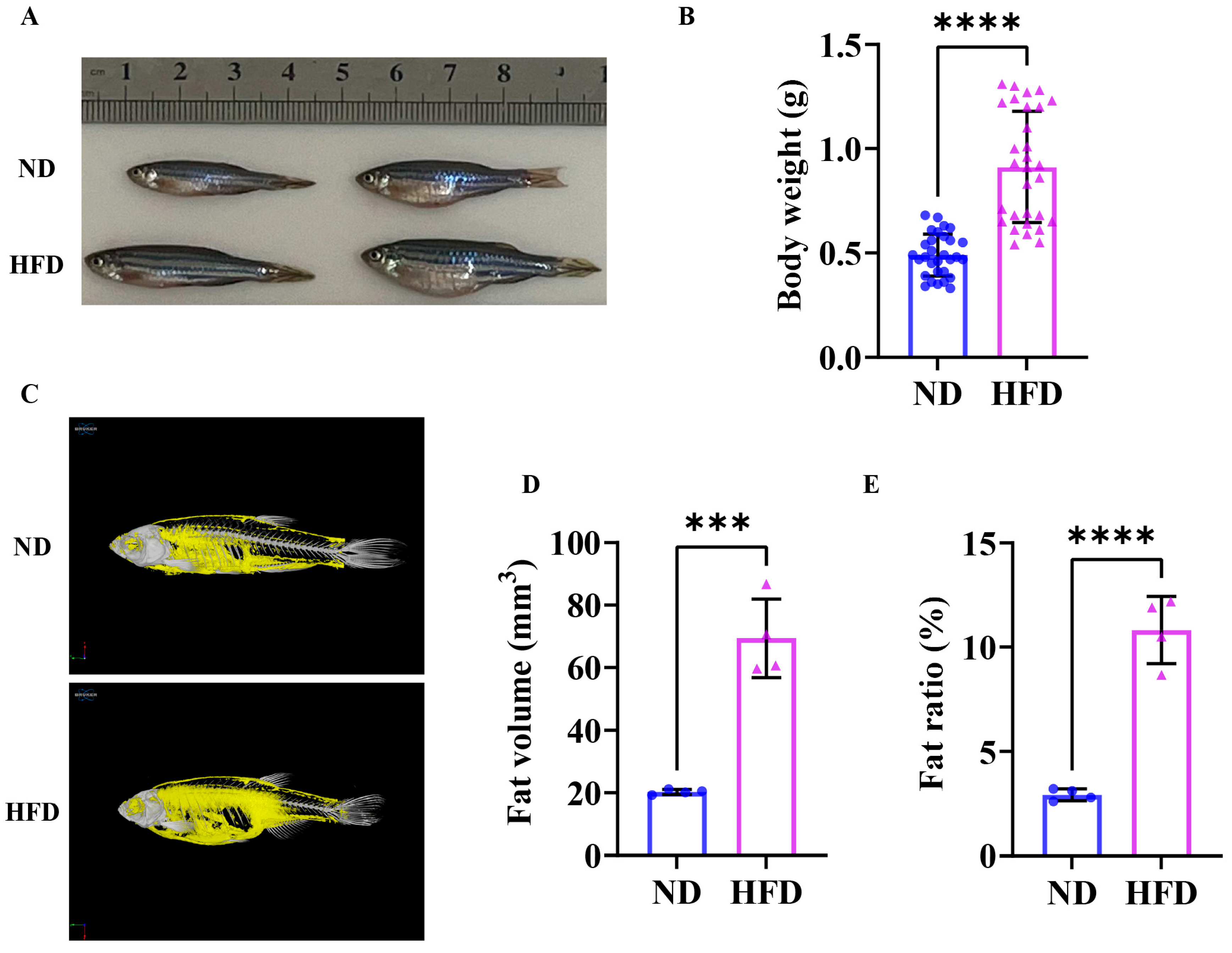 Nutrients 17 01711 g001
