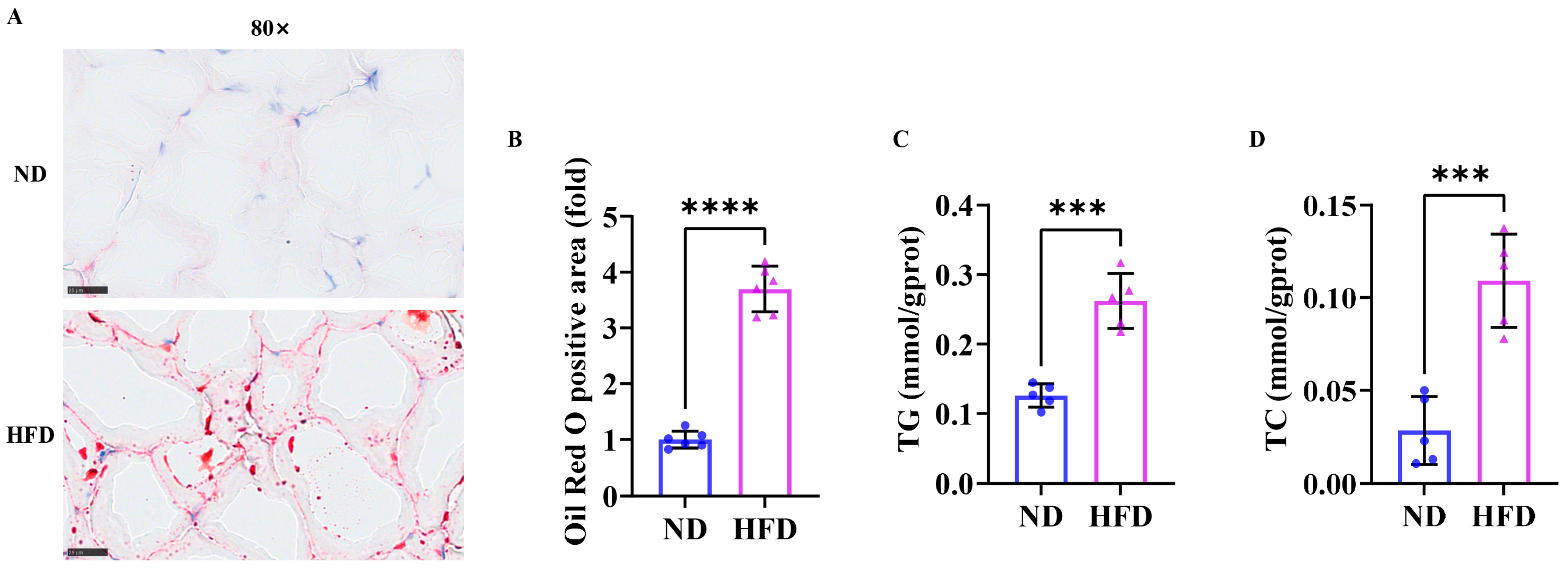 Nutrients 17 01711 g002